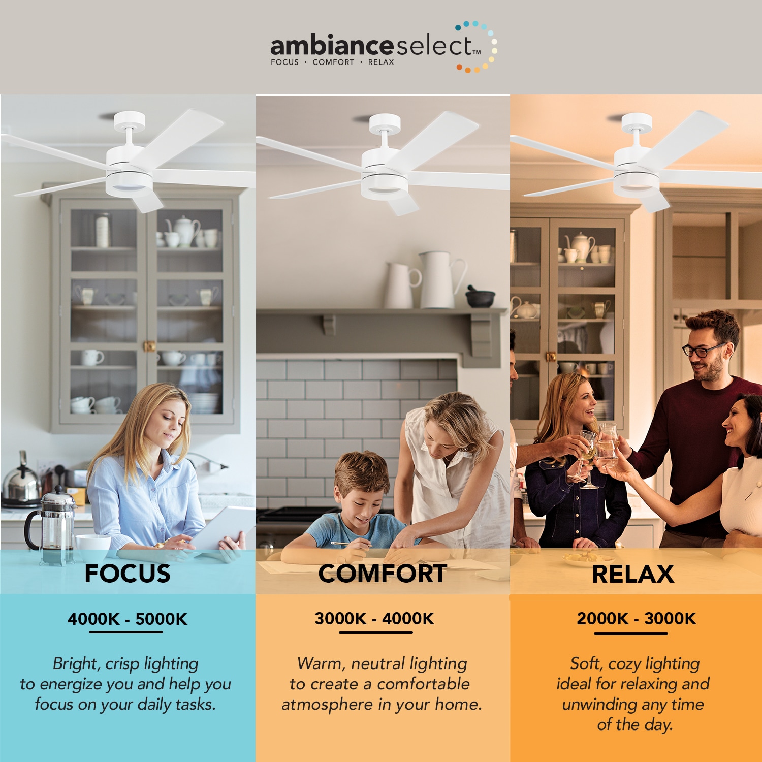 Globe Electric 91010496 Ceiling-Fans - View #10