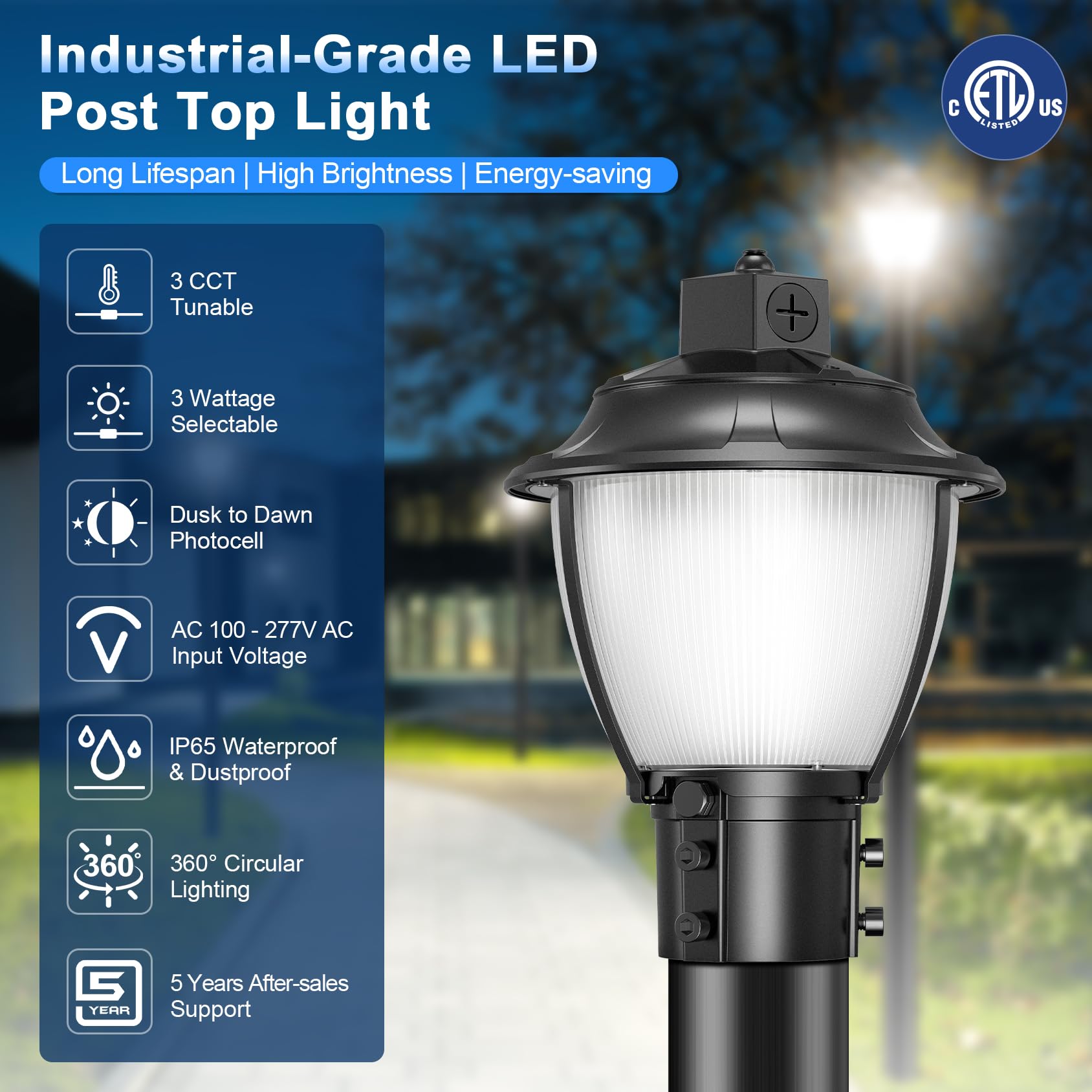 Vrbgify LED Post Top Light 60W 48W 36W Adjustable Wattage and Color ...