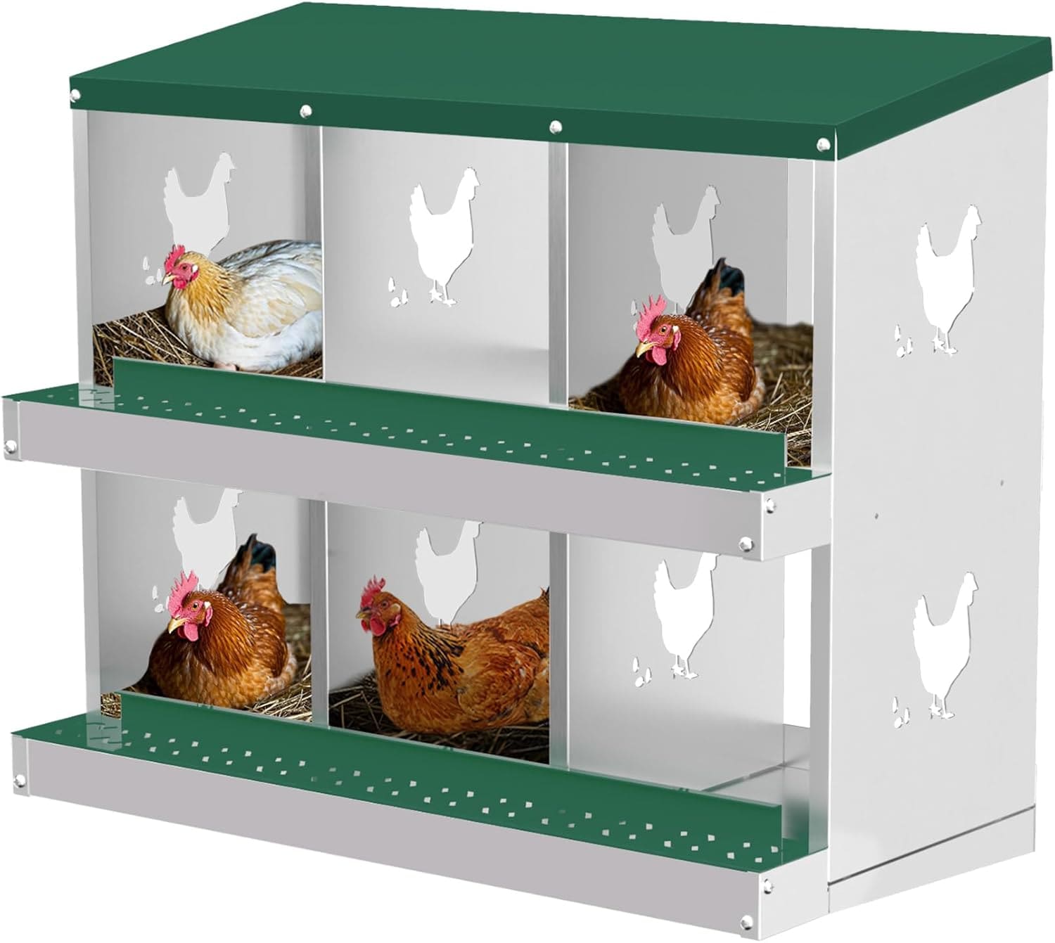 Qeetex GGL-PHO-348SBN54 6-Hole Green Chicken Nesting Box  Chicken Nesting Box with Legs  Metal Chickens Laying Boxes with Perch  Metal Roll Away Eggs Laying Boxes  Versatile Wall Mount for Chickens
