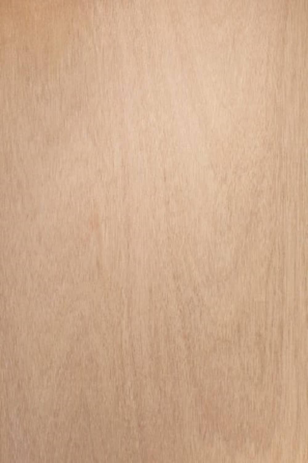 RELIABILT LOE1790577 Slab-Doors - View #3