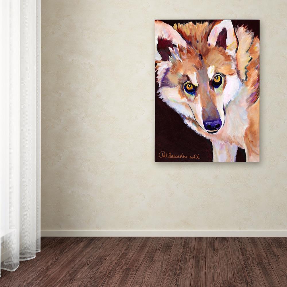 Trademark Fine Art PS113-C1419GG Wall-Art - View #3