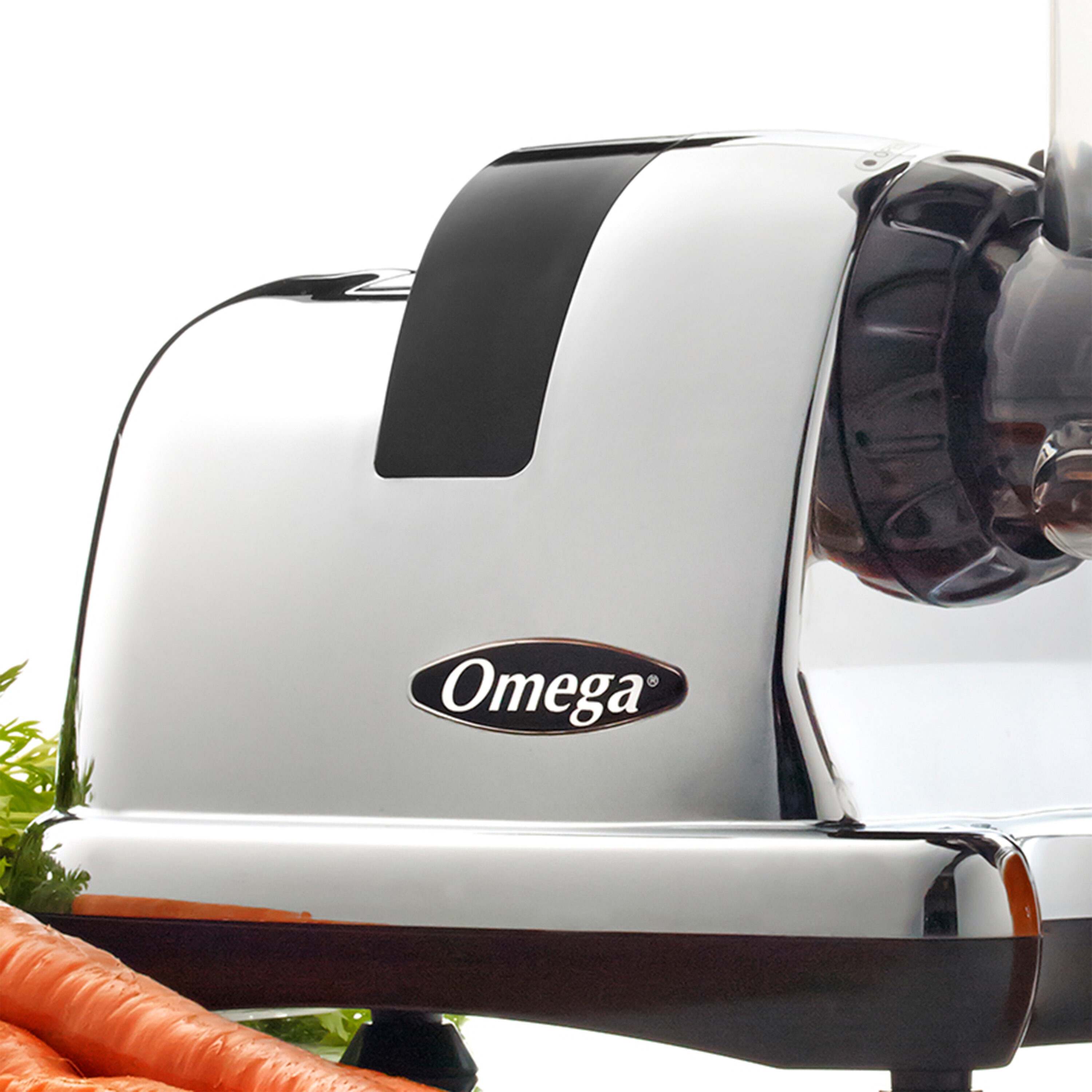 Omega 2024 j8006hdc juicer