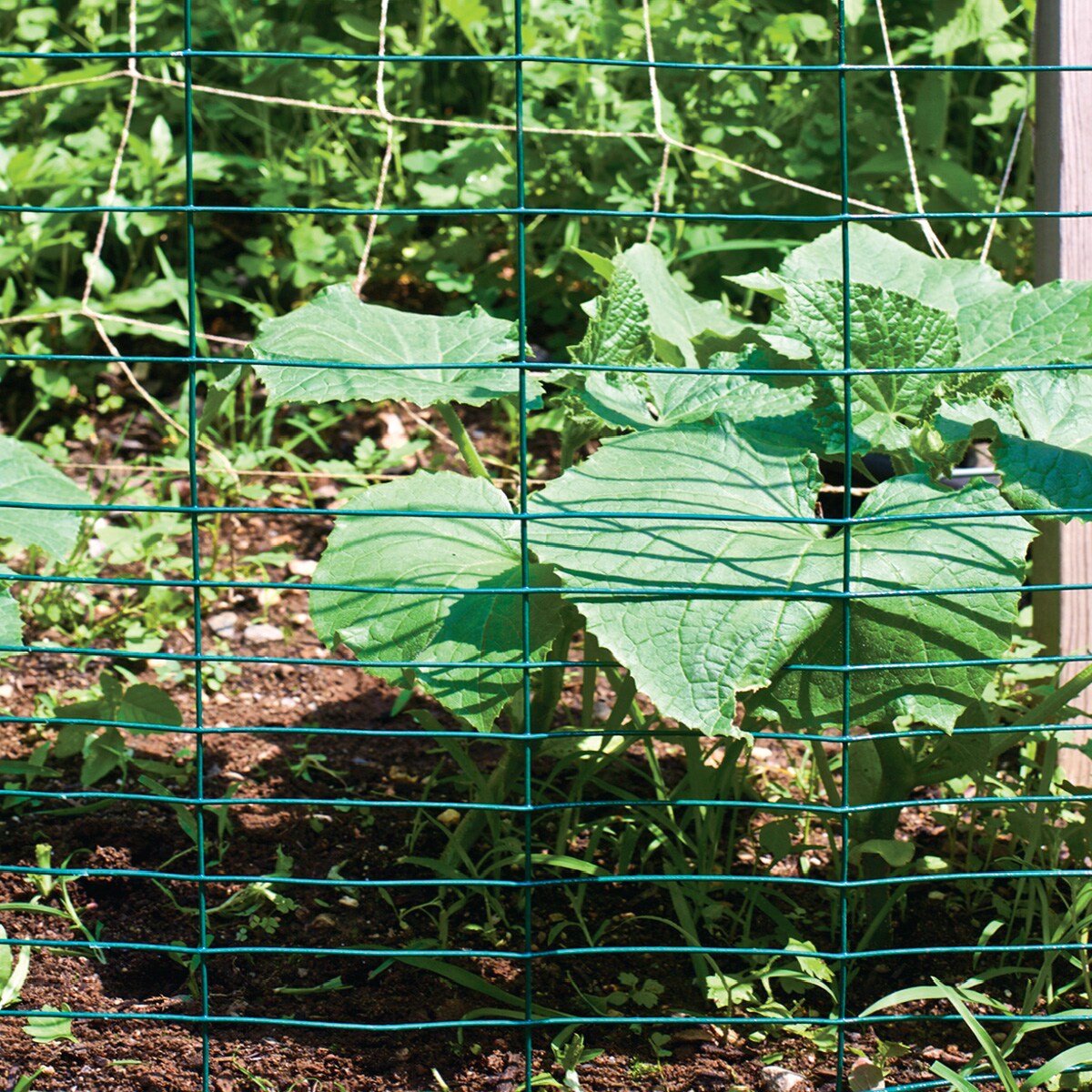 GARDEN CRAFT 222850 Rolled-Fence - View #2