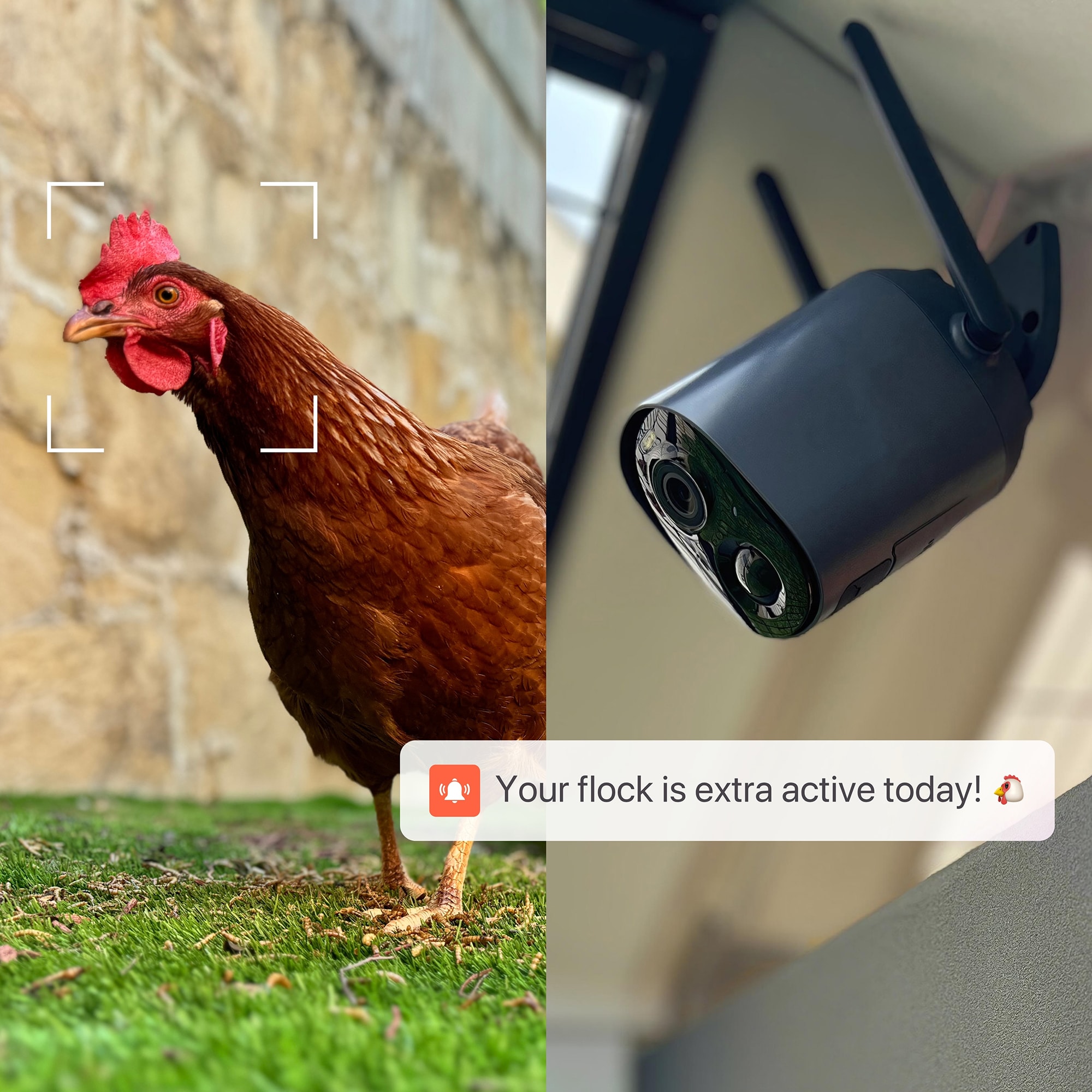 COOP CPCH605 Security-Cameras - View #4