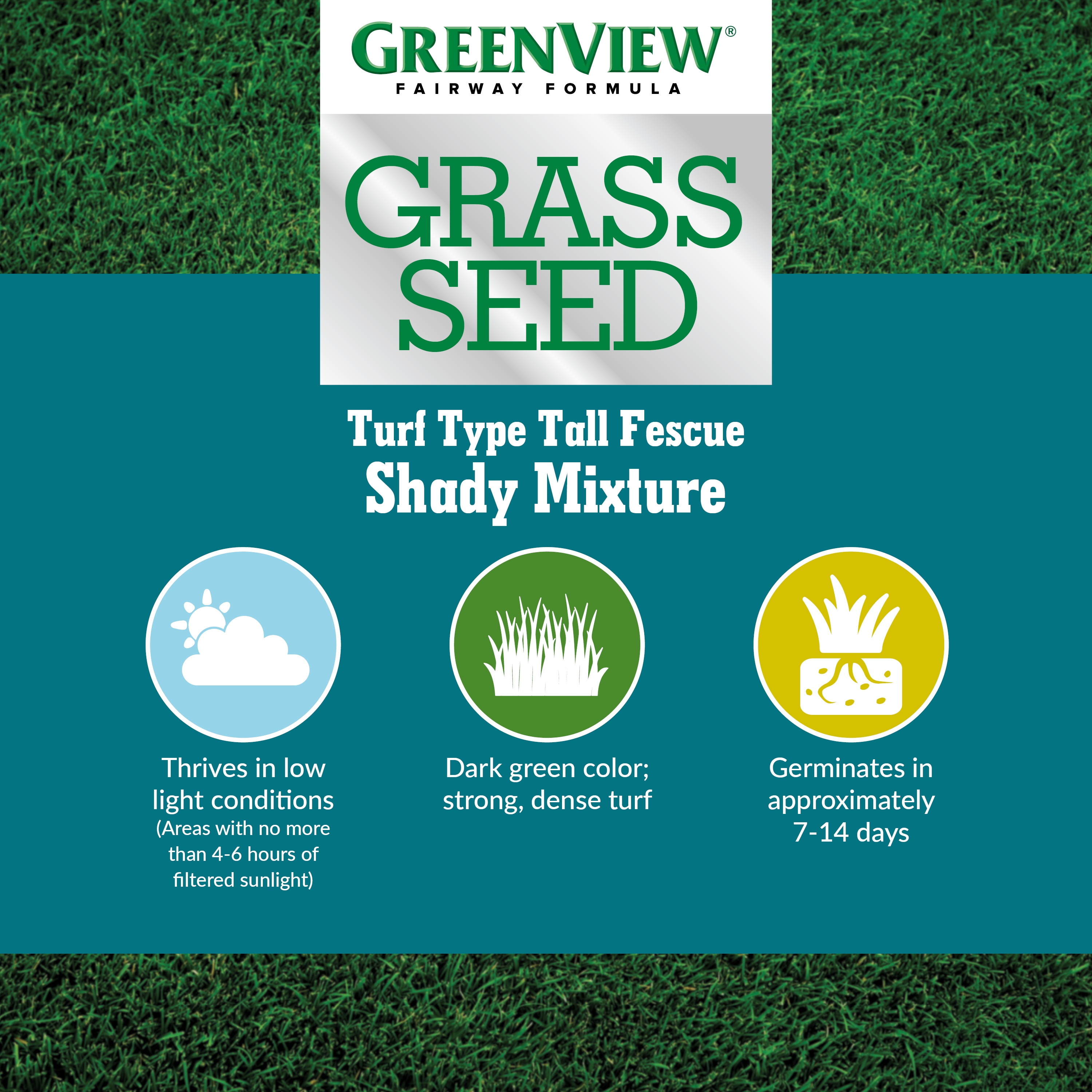 Greenview 7 lbs Fairway Formula Grass Seed Turf Type Tall Fescue Shady Mixture