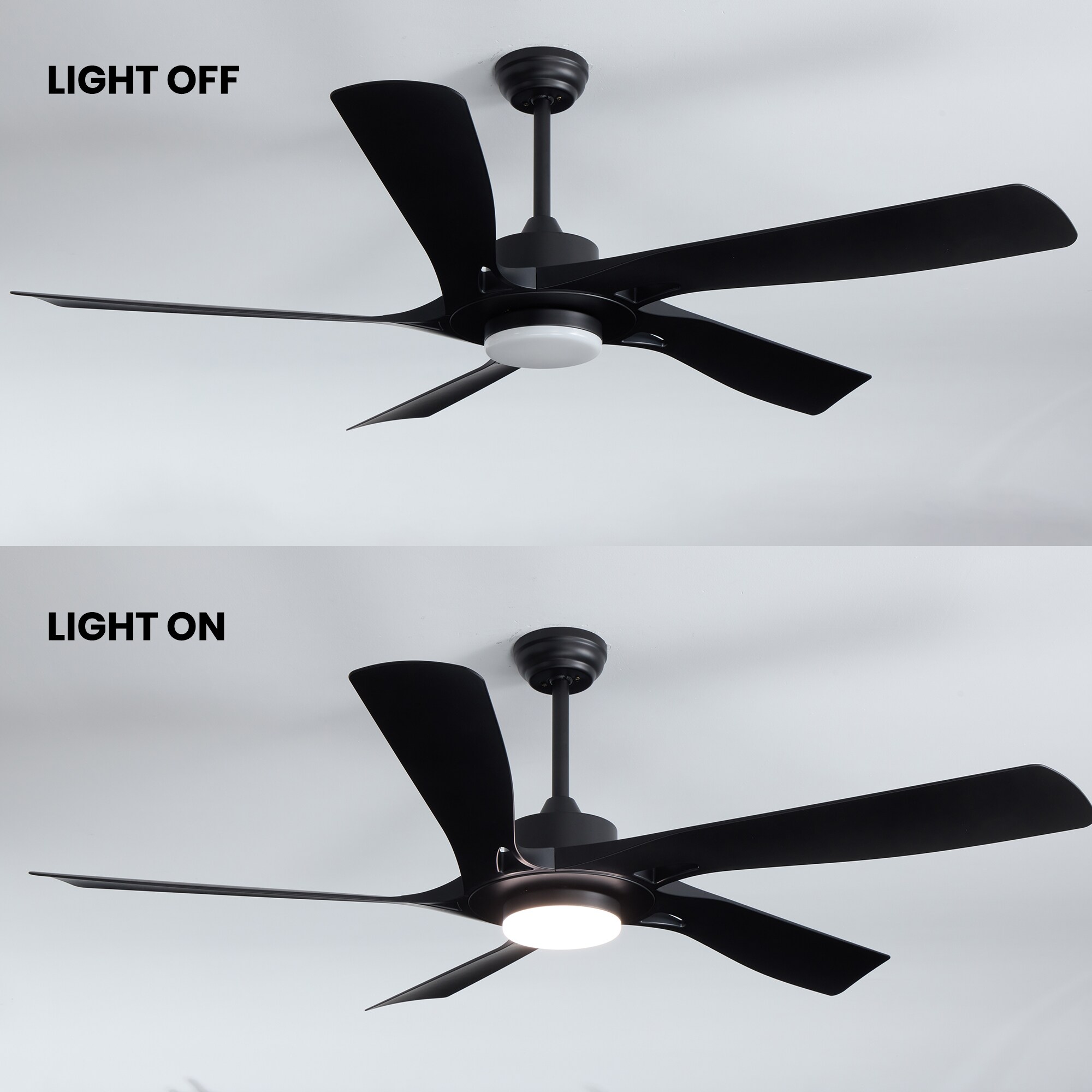 Antoine LSFD-25 Ceiling-Fans - View #11