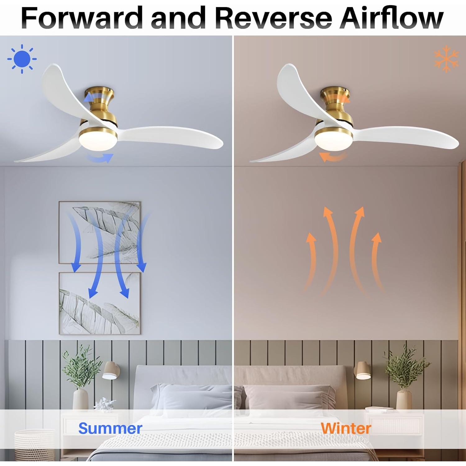 Bayfeve BFKS-46904-CF Ceiling-Fans - View #6