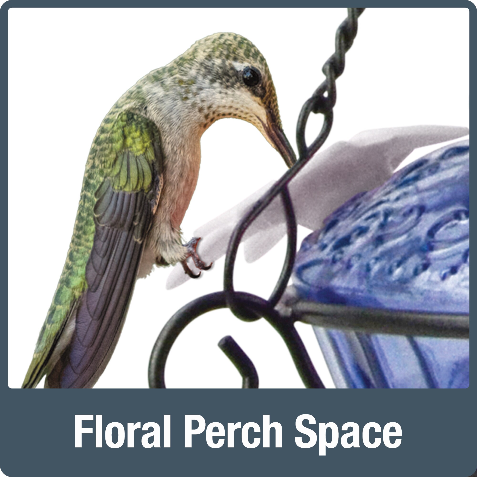 Style Selections ANTHF-SS1-I Bird-Feeders - View #7