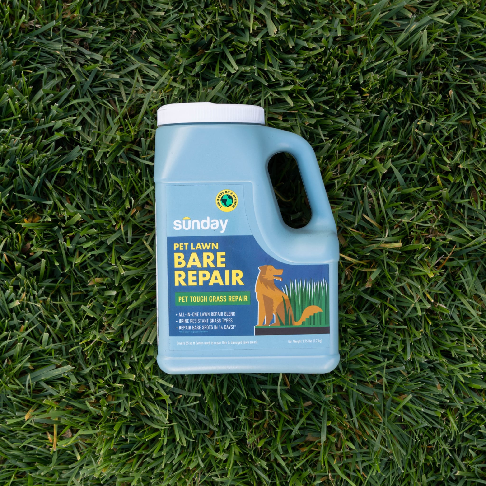 Sunday FS3003 Lawn-Repair-Mix - View #8