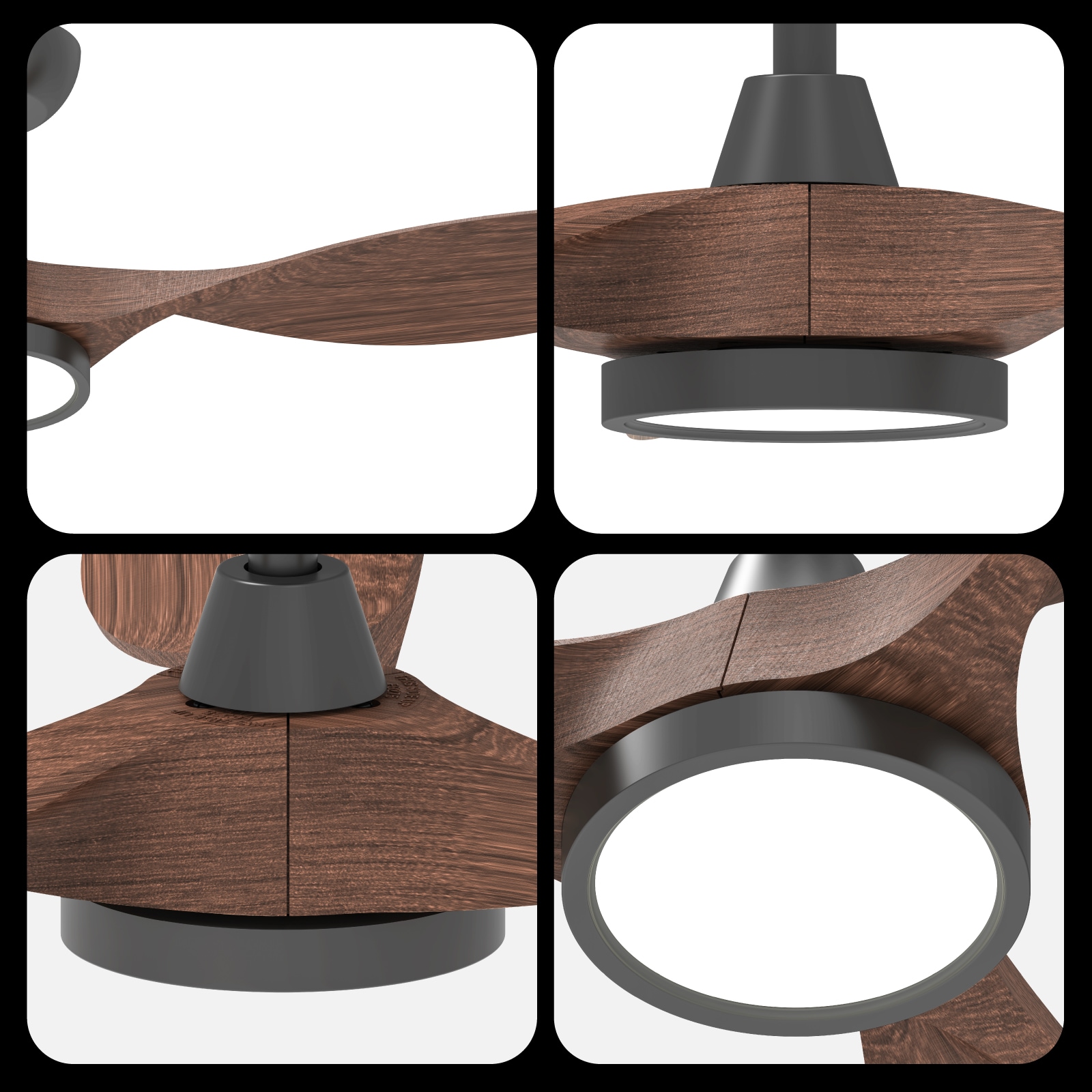 TALOYA TLY-RT-BW-D52 Ceiling-Fans - View #3