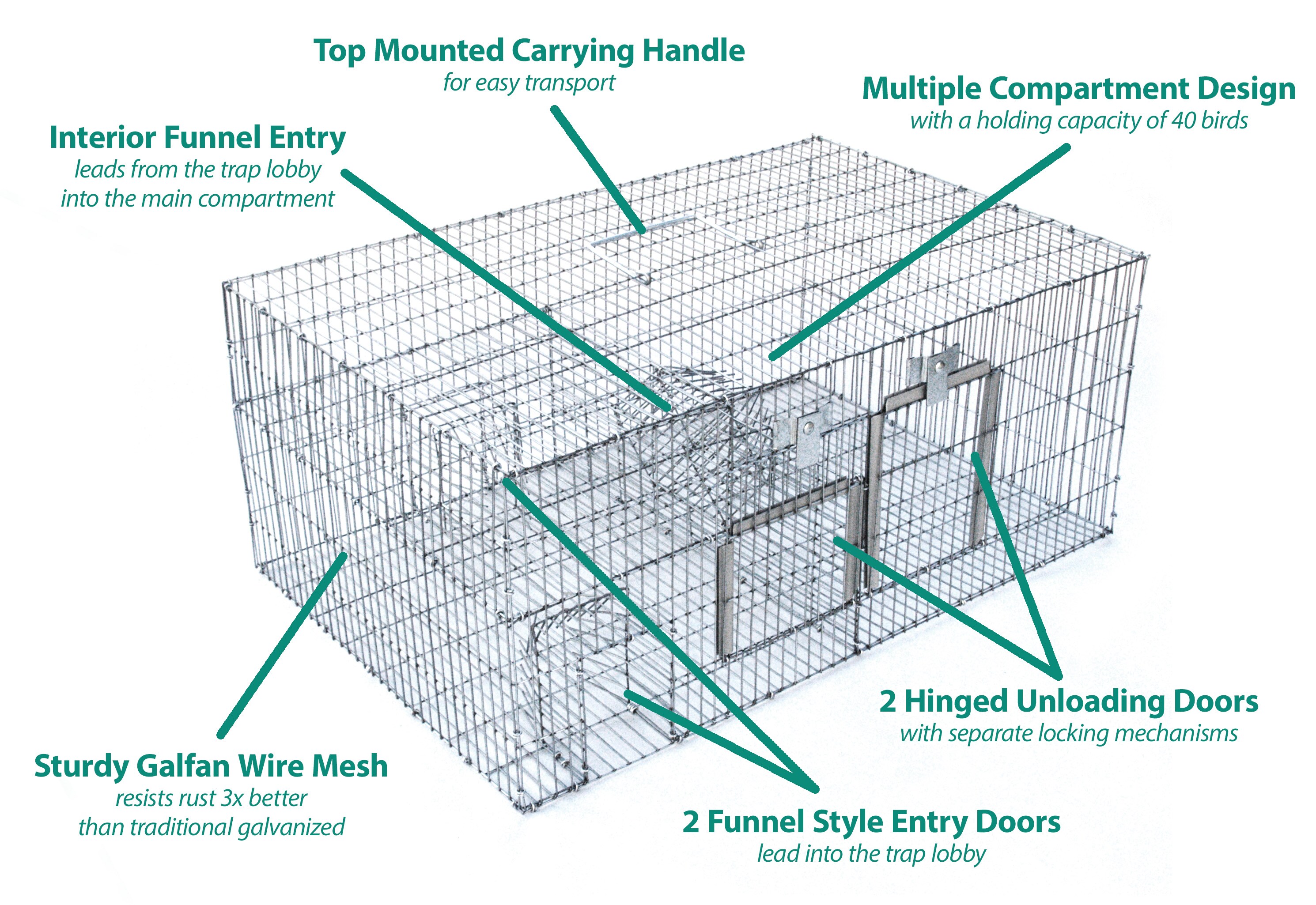 Safeguard Bird Traps - Safeguard Traps