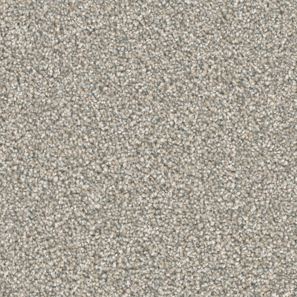 STAINMASTER S9165-912-1200-MO Imagine Customize Multi-Colored 65-oz sq yard Polyester Textured Indoor Carpet