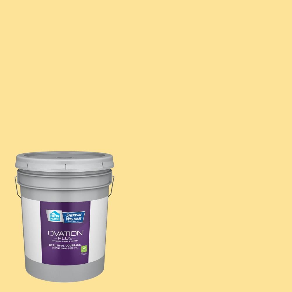 HGTV HOME by Sherwin-Williams 3003-2B-2557223 Ovation Plus Flat Sun Glow 3003-2B Latex Interior Paint Paint + Primer ( 5-gallon )