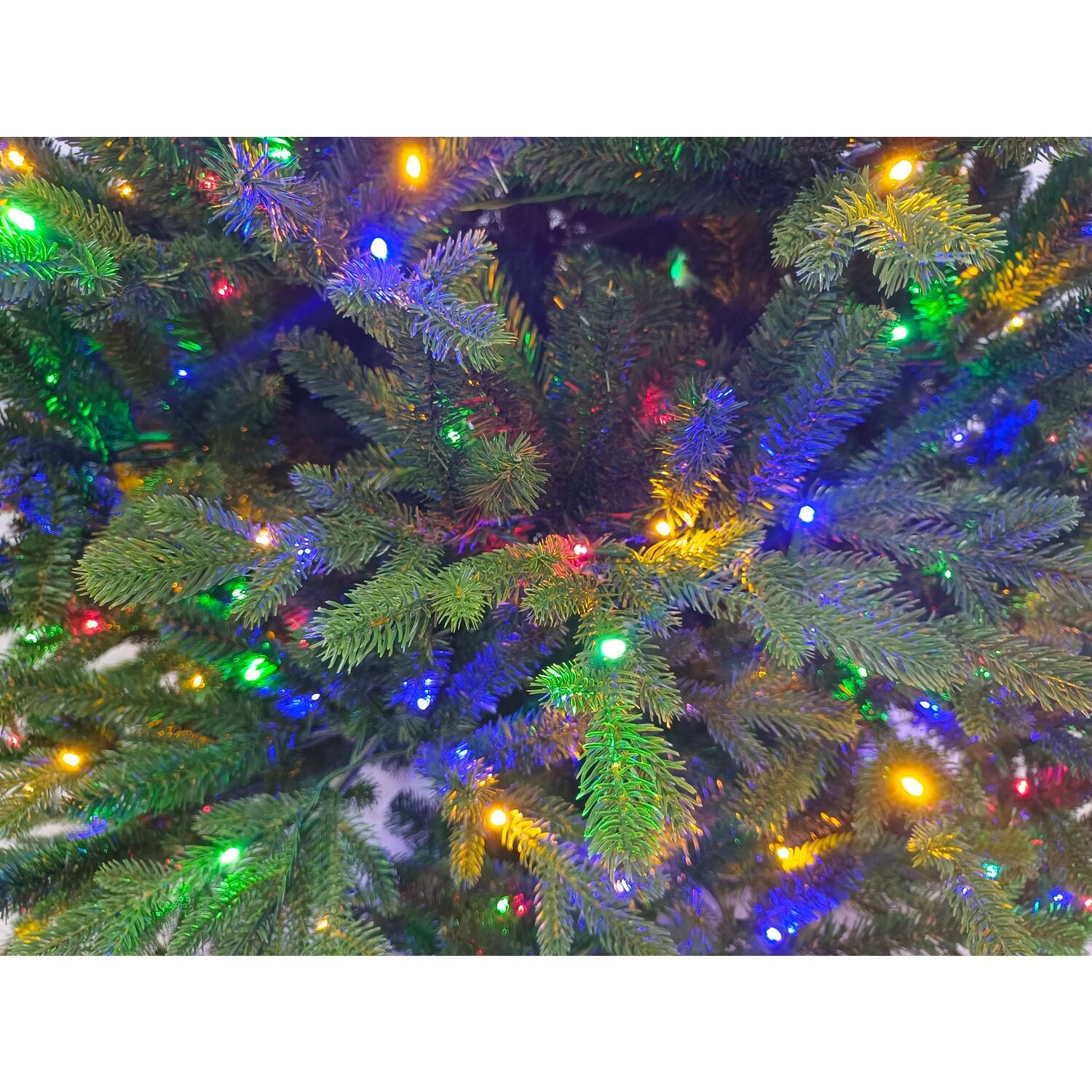 9-Ft Green Oregon Pine Christmas Tree with Multicolor LED Lights