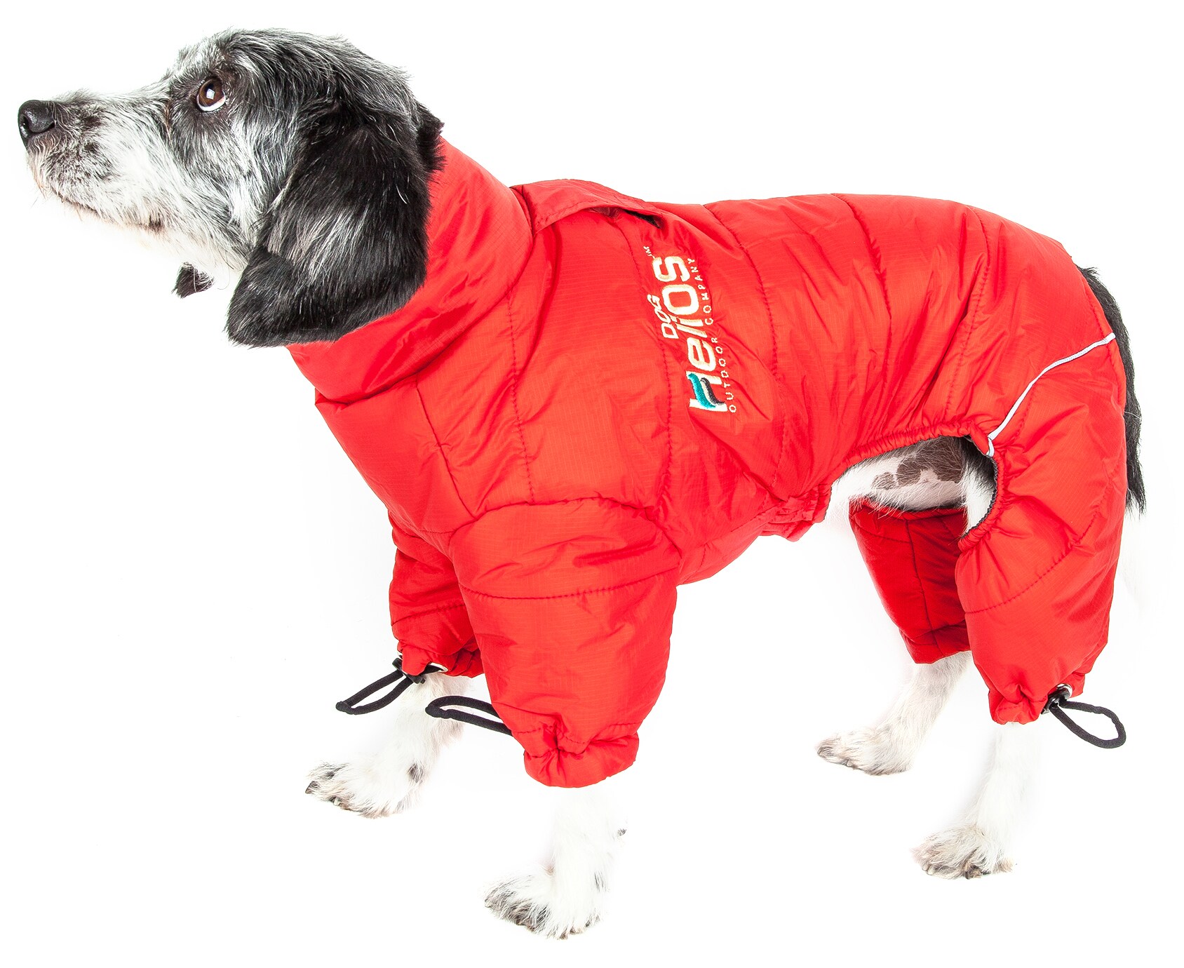 Thunder hotsell dog jacket