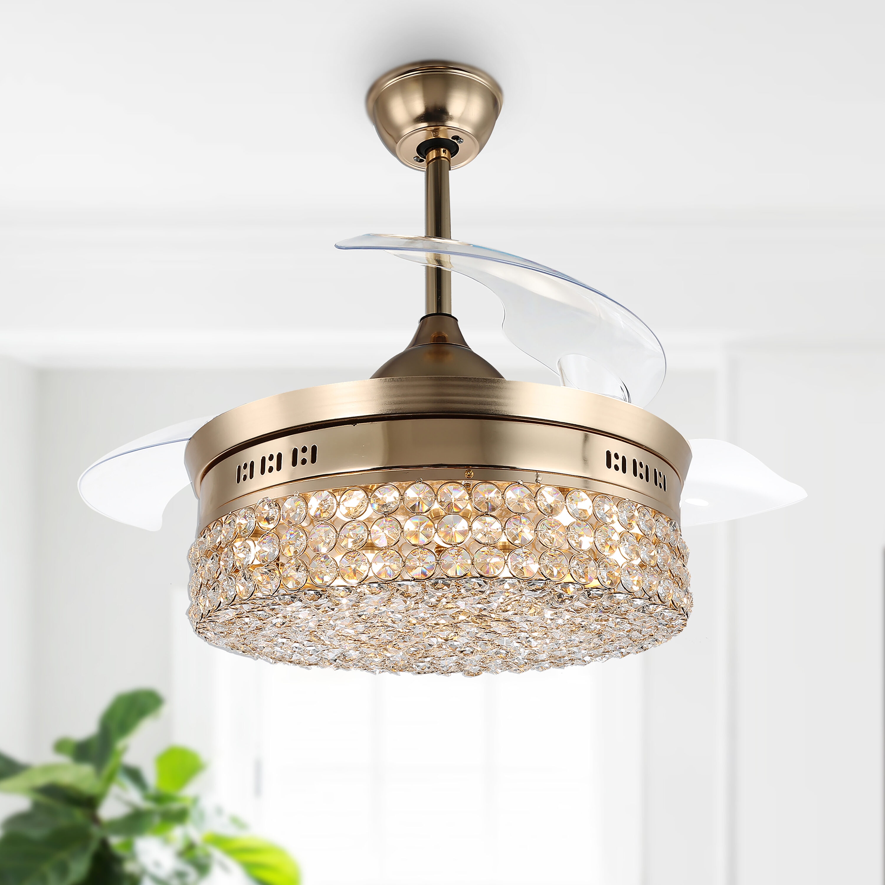Cusp Barn BD3602-G BD3602 36-Inches Gold with Color-Changing Indoor Downrod mount Standard Ceiling Fan With Light and Remote ( 4 -Blade)