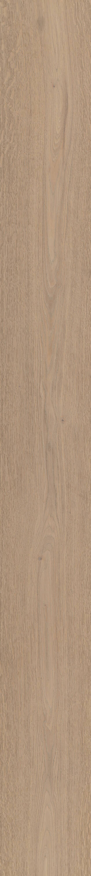 Shaw LX77501129 Wood-Floors - View #8