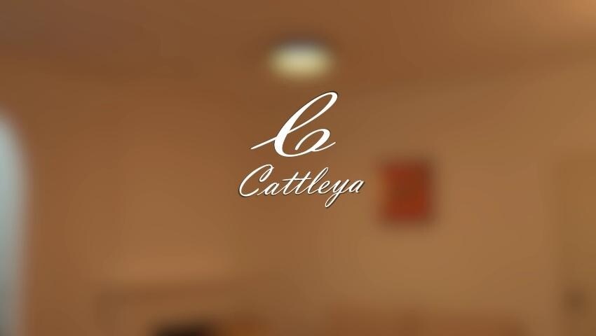 A thumbnail for the video