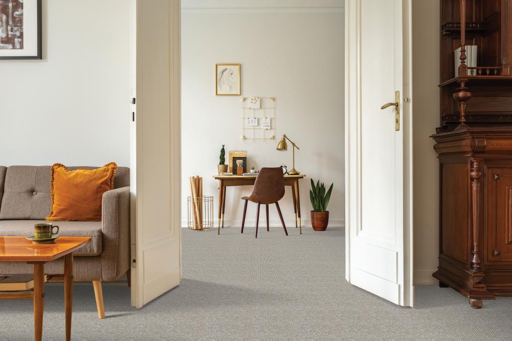  LU161- 9513B Carpet-Samples - View #4