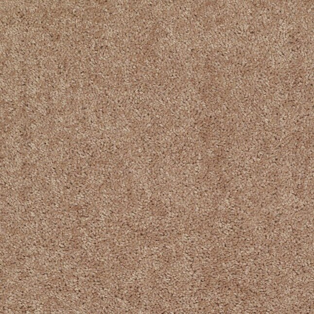 Shaw Cornerstone Batter Up I Taffy Textured Carpet Sample (Interior) Shaw Cornerstone Batter Up I Taffy Textured Carpet Sample (Interior)