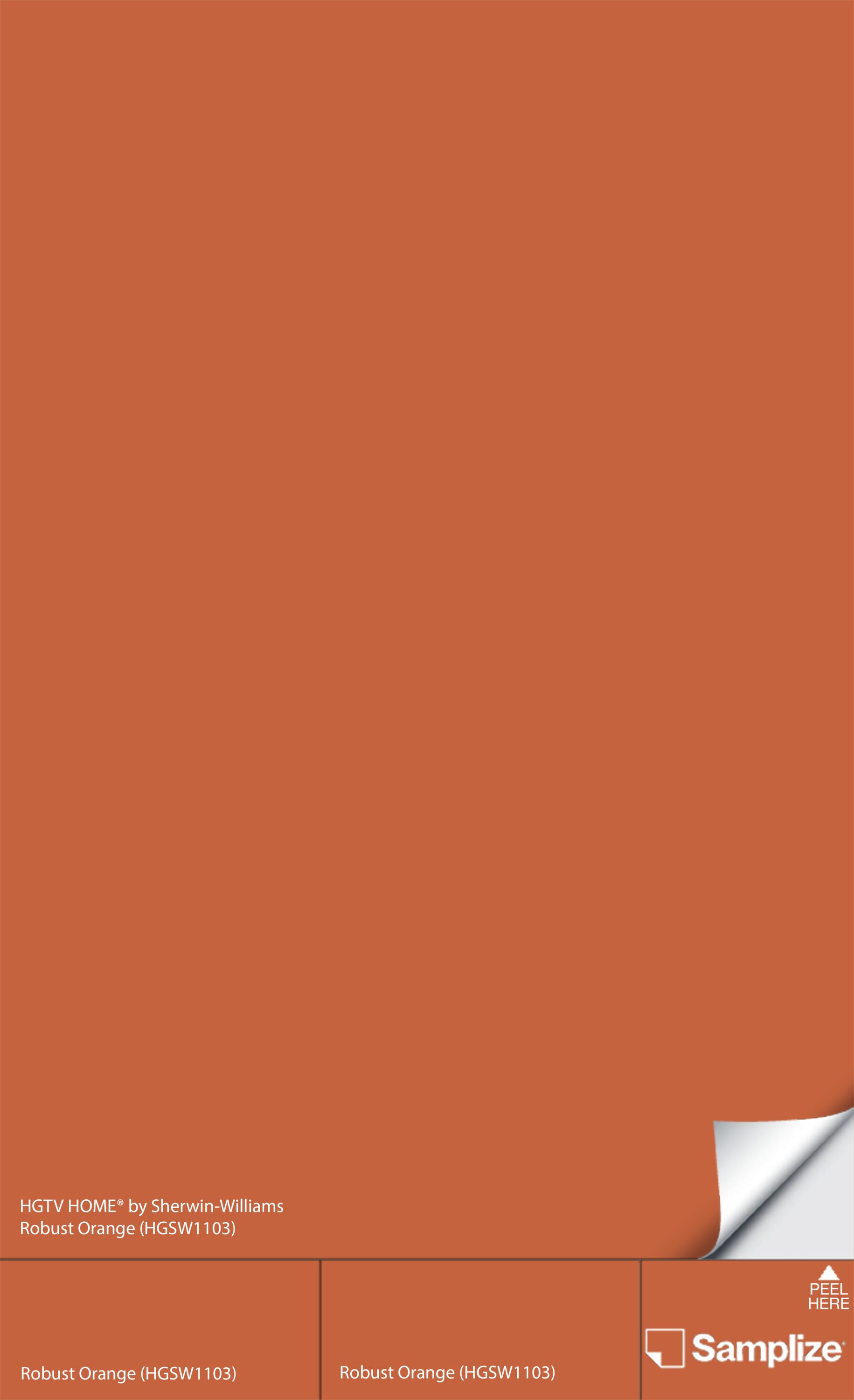Samplize HGSW-(HGSW1103)-12 Robust Orange Hgsw1103 Peel and Stick Paint Sample (9-in x 14-3/4-in)
