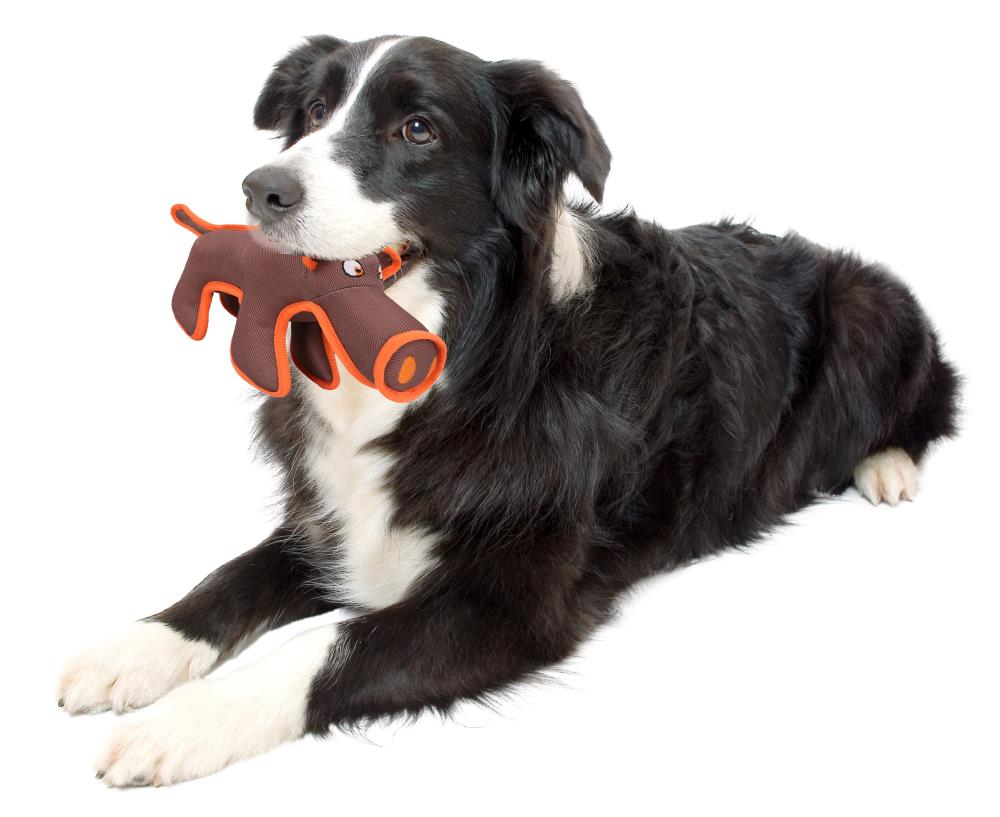 Pet Life Bark Active Neoprene Mesh Flotation Ball Fetch Dog Toy