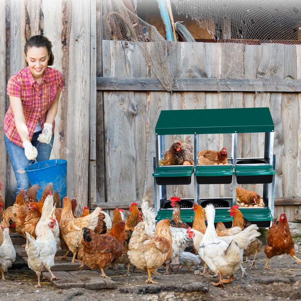 Qeetex WLS-PHO-15FEGHPJ Chicken-Coops-Rabbit-Hutches - View #9