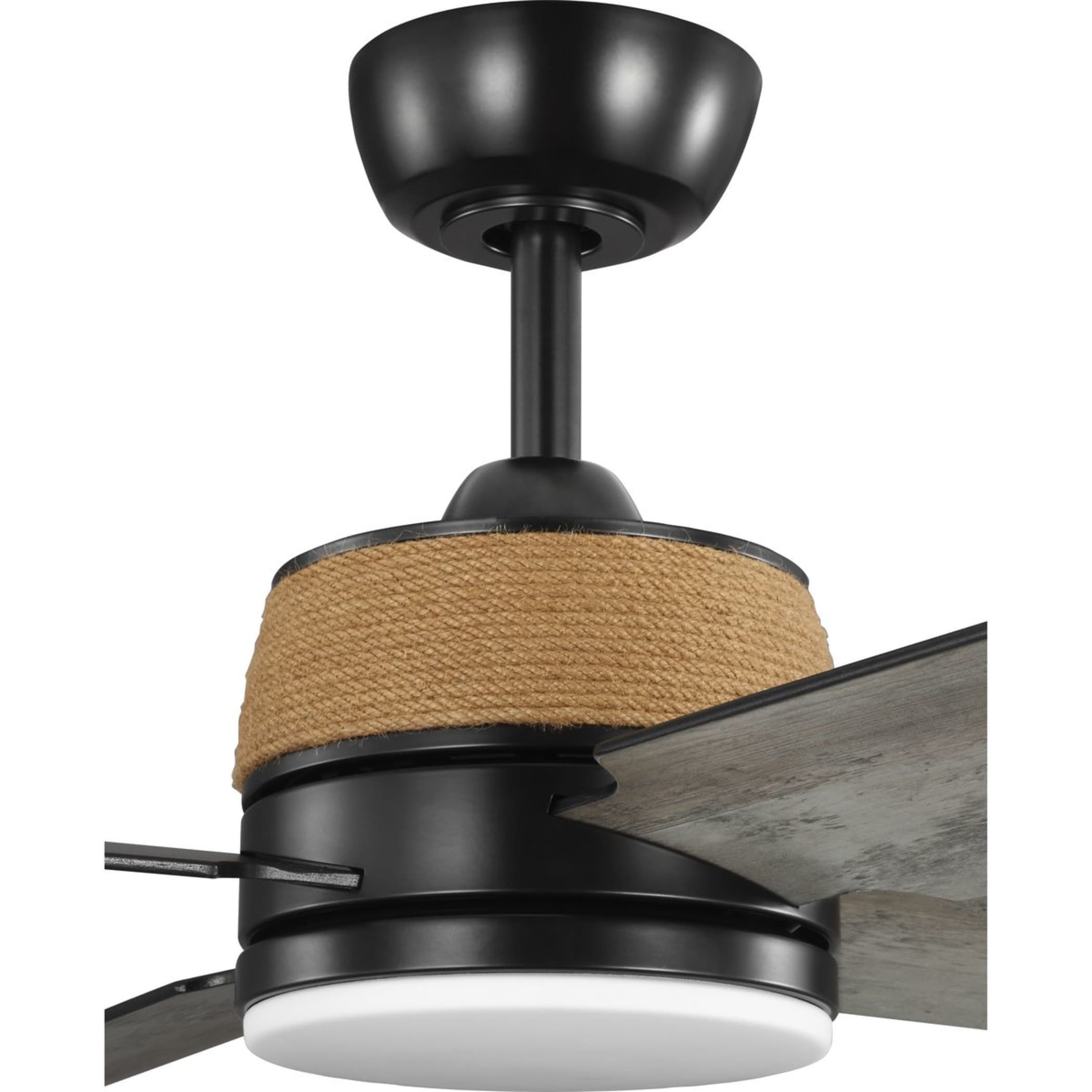 Progress Lighting P250097-31M-30 Ceiling-Fans - View #11
