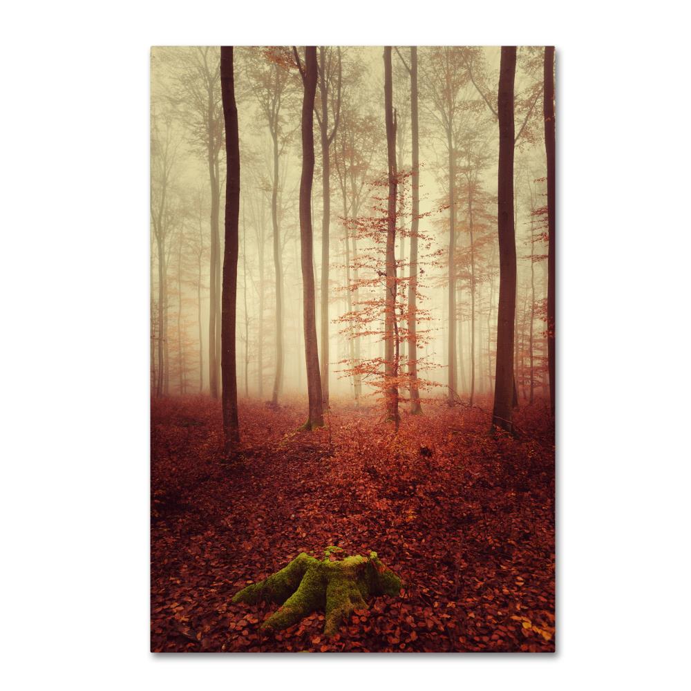 Trademark Fine Art PSL0436-C1624GG Framed 24-Inches H x 16-Inches W Landscape Canvas Print