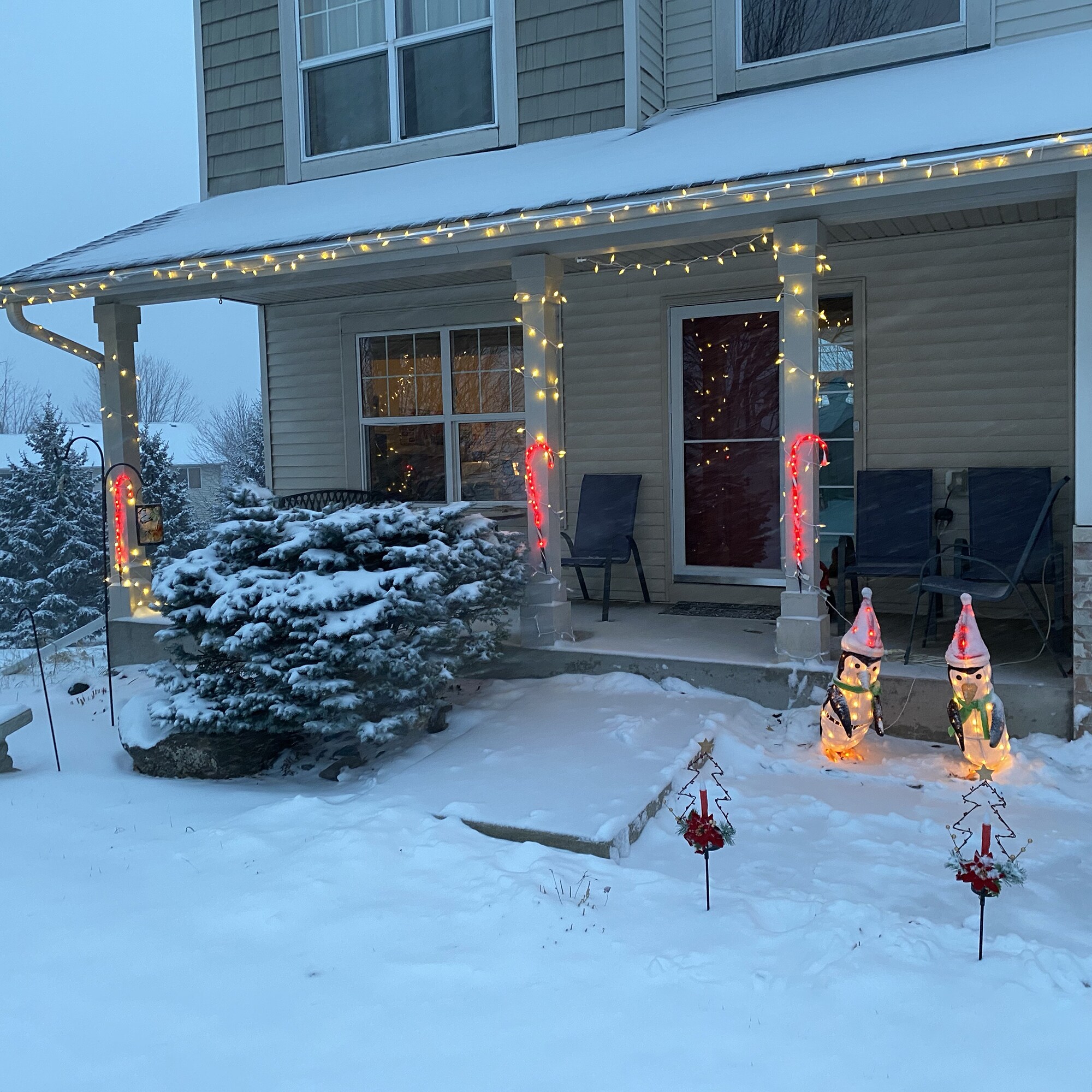 Northlight 32608240 Christmas-String-Lights - View #6