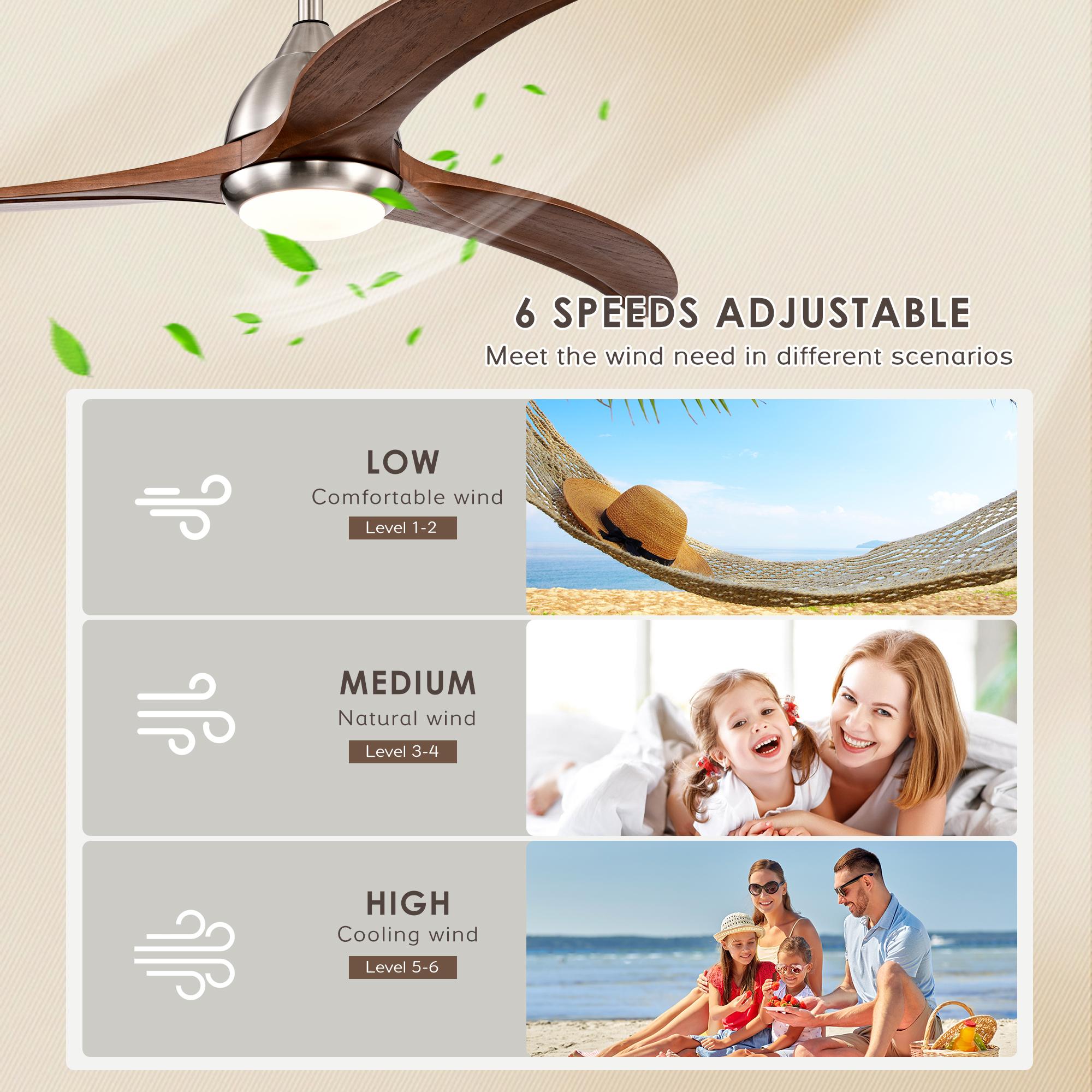 Bayfeve BFHM-76970-CF Ceiling-Fans - View #7