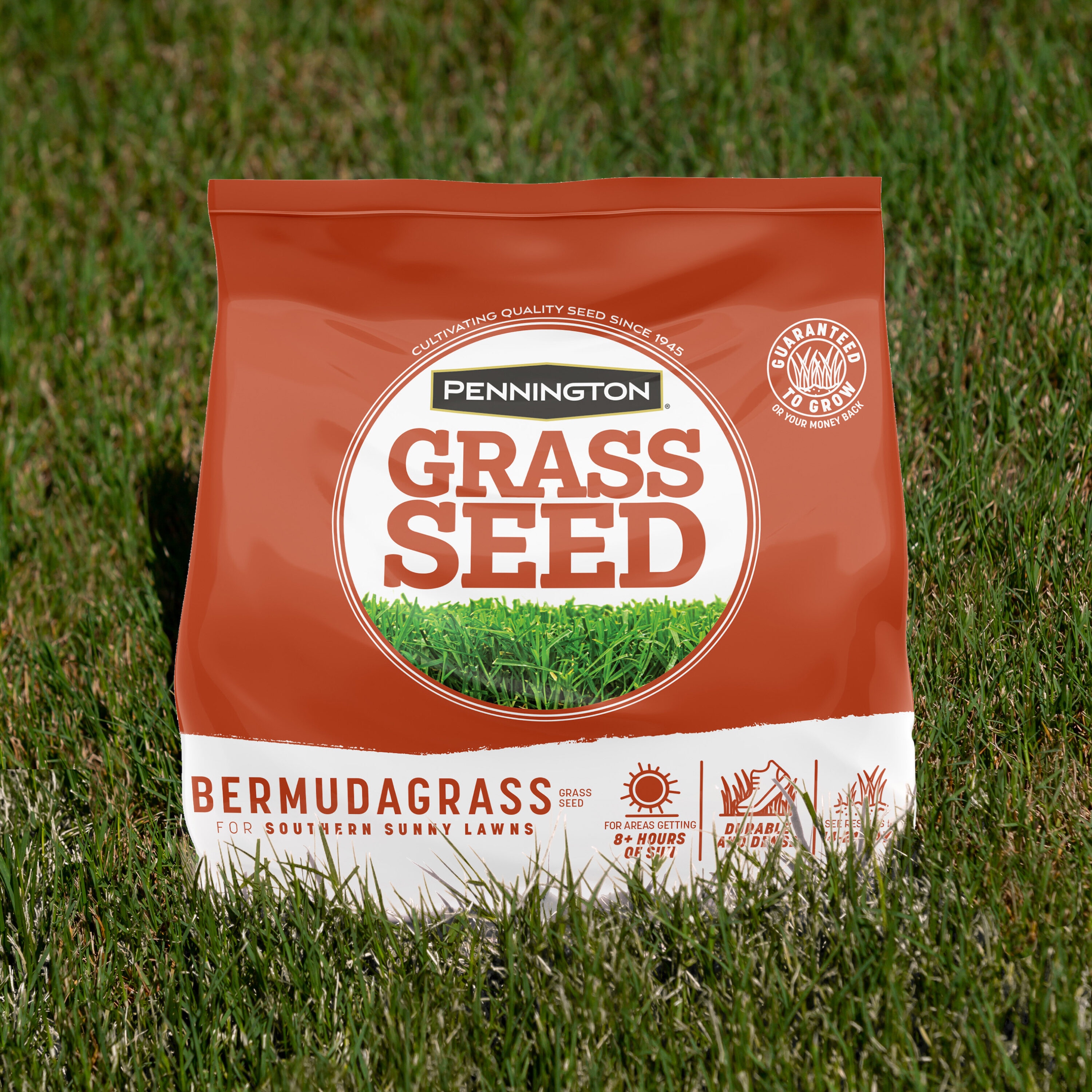 Pennington 2149600546 Grass-Seed - View #11
