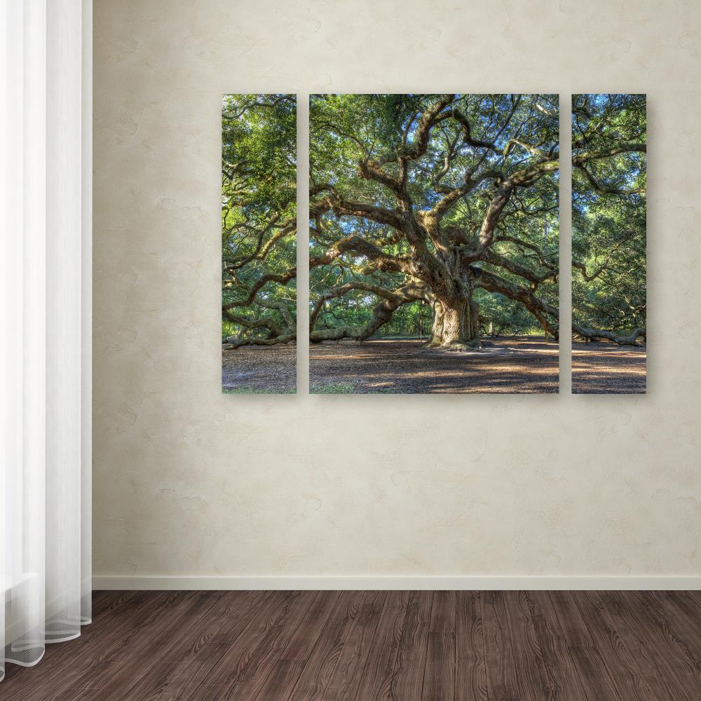 Trademark Fine Art PL0001-3PC-SET-LG Framed 40-in H x 30-in W Landscape Print on Canvas Artist: Pierre Leclerc Multicolor Framed 40-Inches H x 30-Inches W Landscape Canvas Print