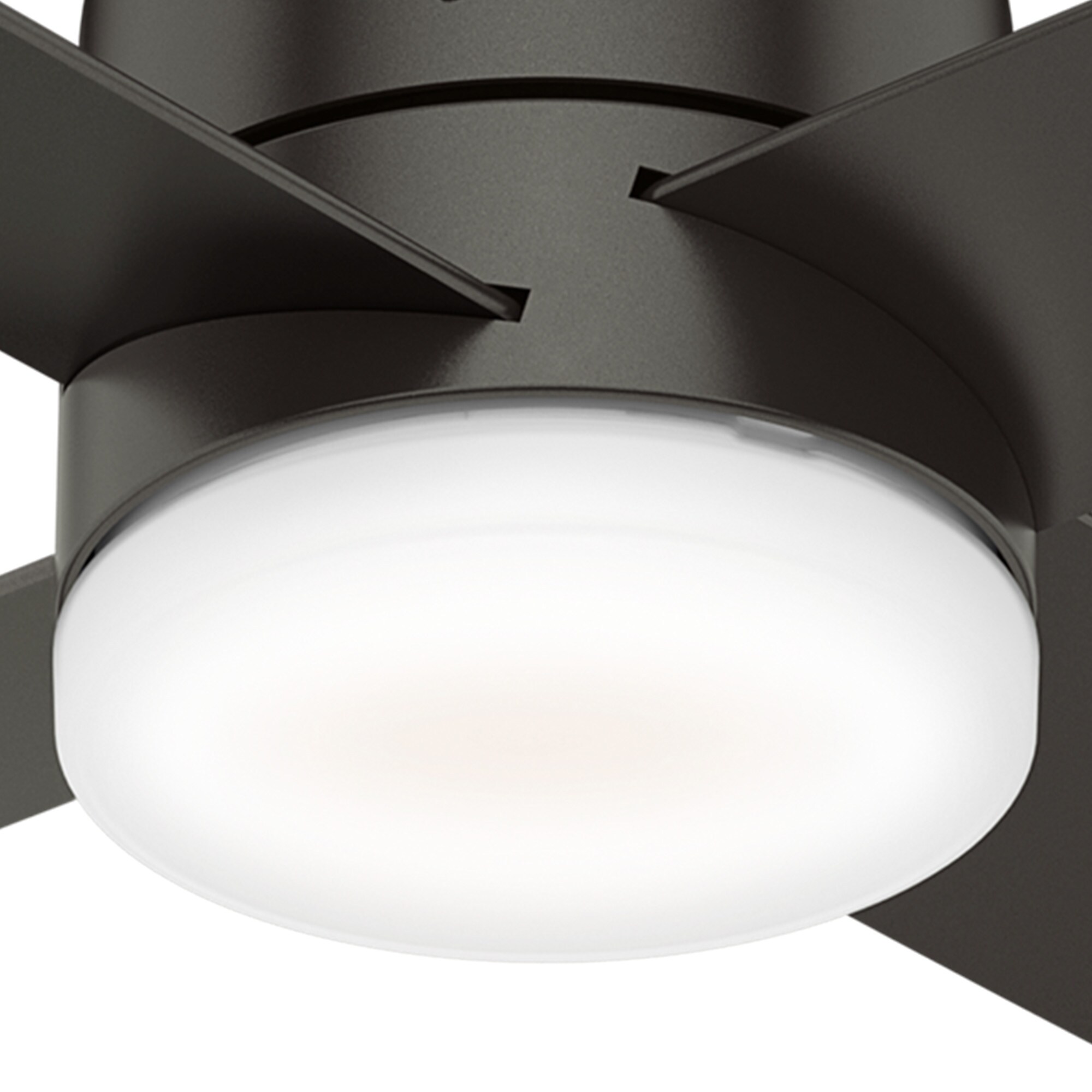 Hunter 59369 Ceiling-Fans - View #12