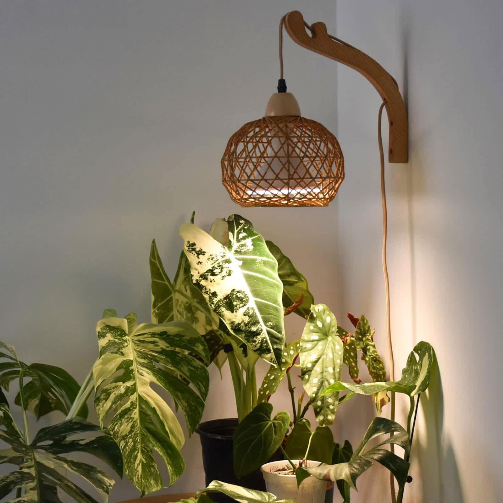Aoibox  1 Piece 18W Full Spectrum Hanging Grow Light with Rattan Shade 547 PPFD 9.8FT Cord Wall Mounted Indoor Ceiling Plant Light for Tall Plants