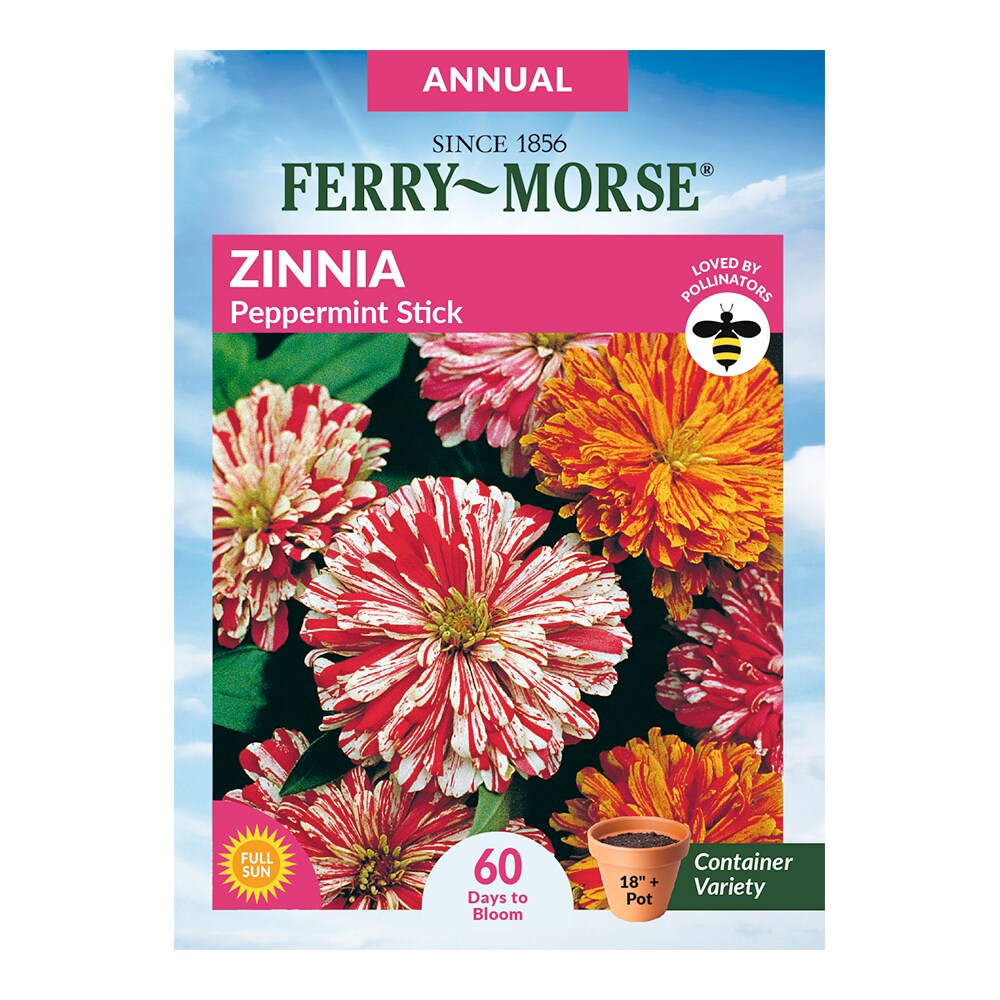 Ferry-Morse 635352.1220.249.9092 Zinnia Peppermint Stick Seeds 0.75-Gram