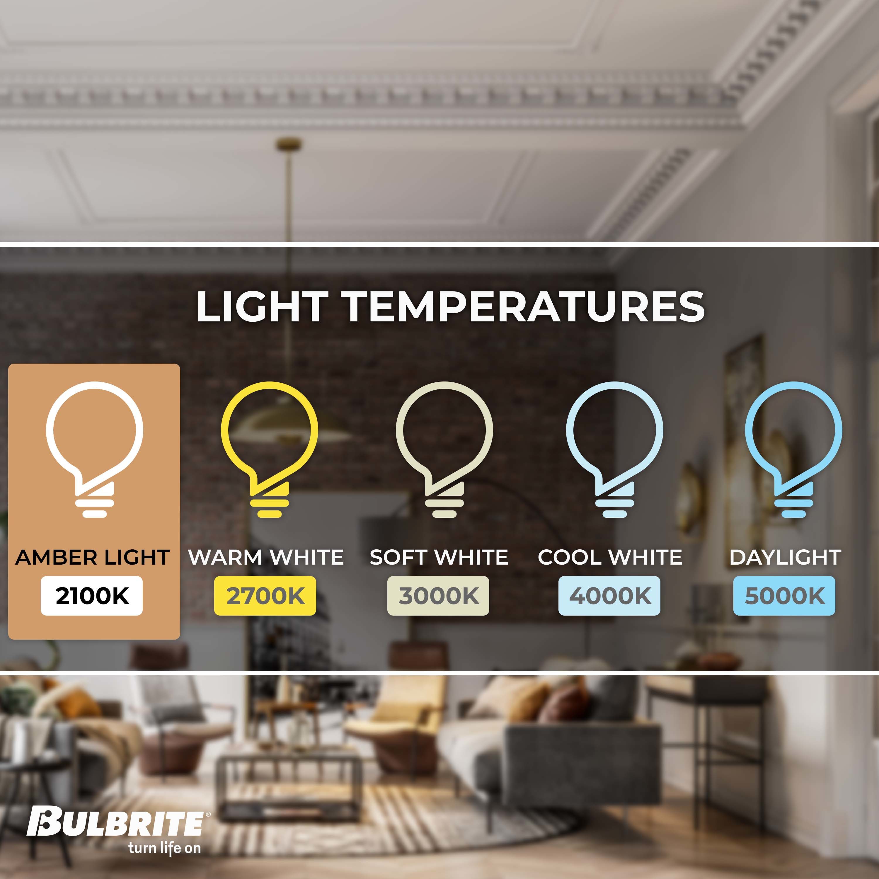 Bulbrite 861403 Dec-Led-Light-Bulbs - View #3