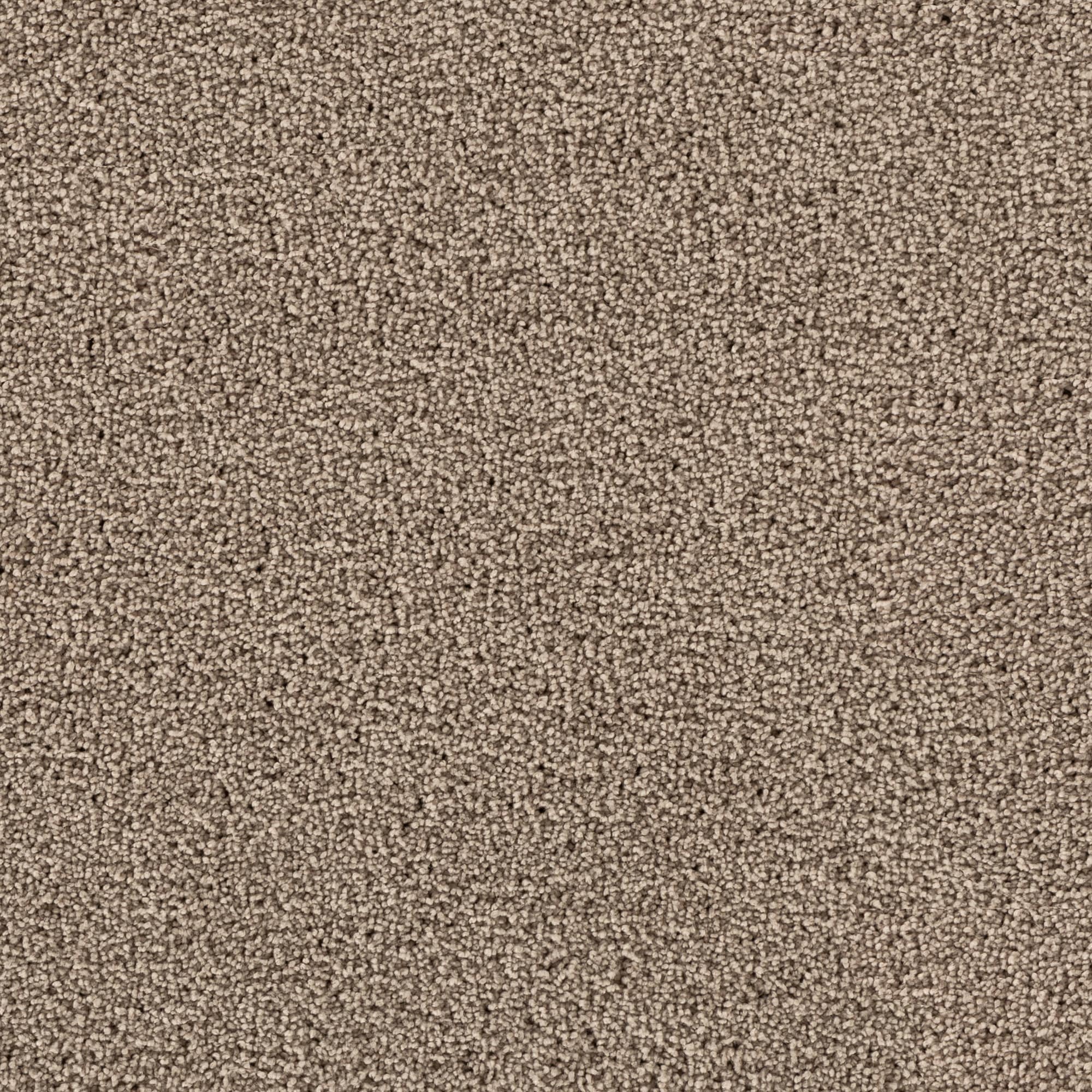 STAINMASTER STP44-12-L006 Soothing Space II Folklore Gray 60-oz sq yard Polyester Textured Indoor Carpet
