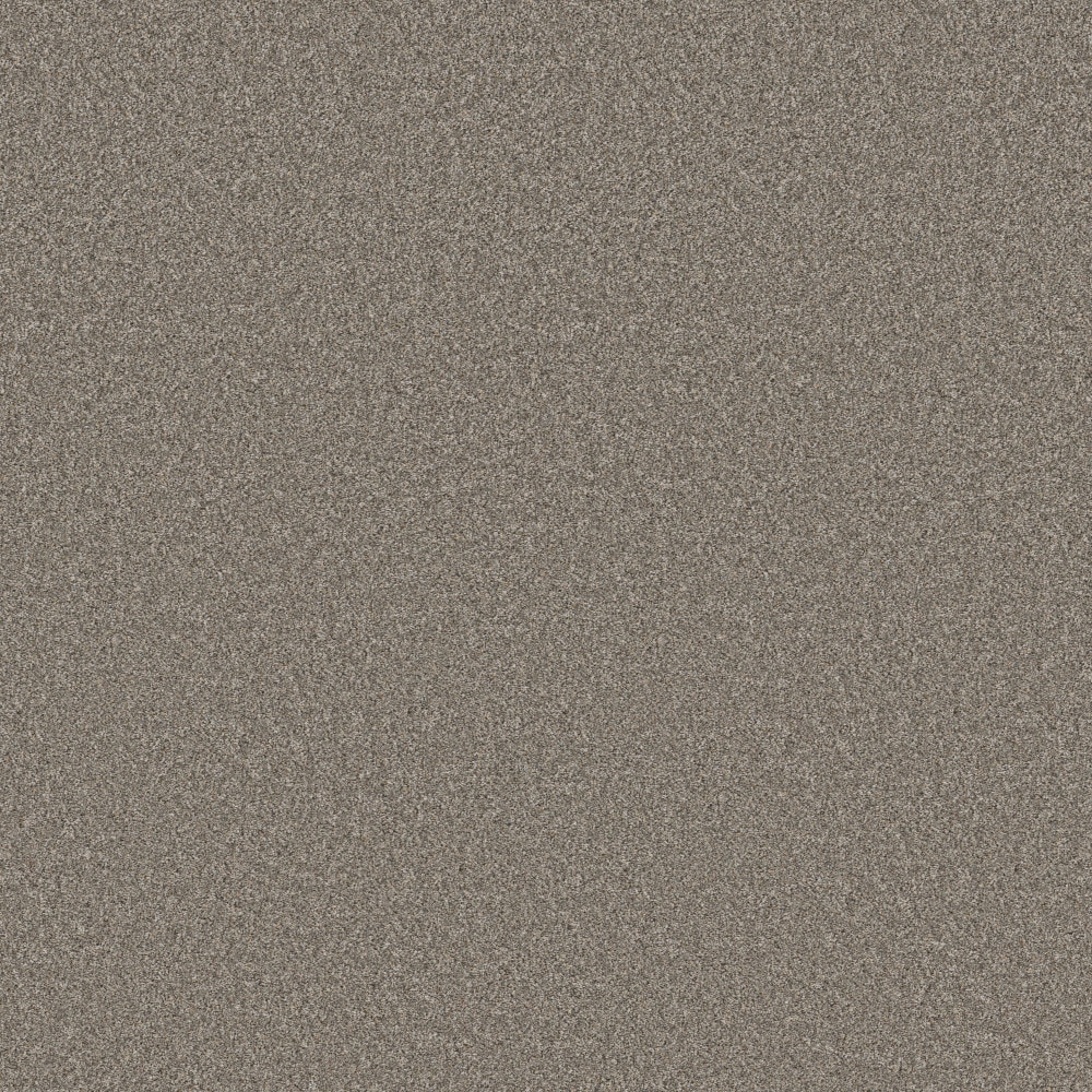 STAINMASTER PetProtect 7L967-731-SAMP (Sample) 8-in x 8-in with LeakDefense Canine Corner I Houndstooth Brown 48.8-oz sq yard High-performance polyester Textured Indoor Carpet