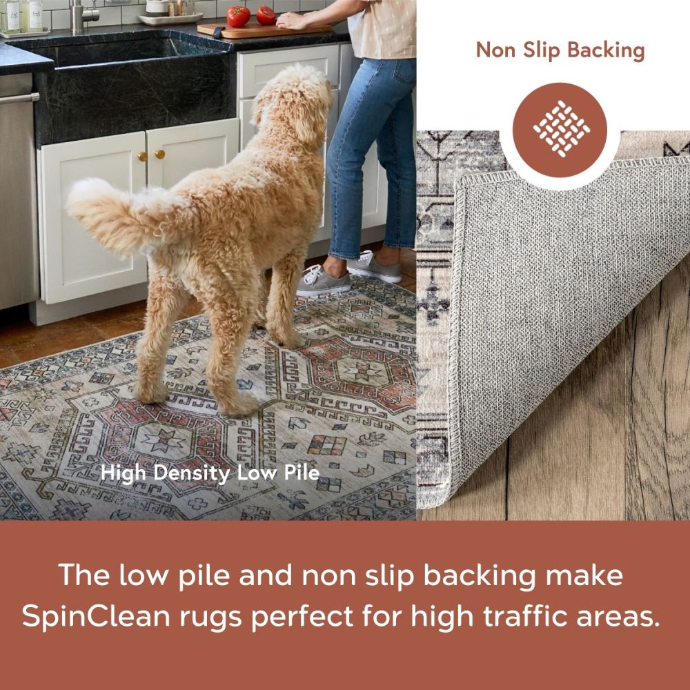 nuLOOM BIRV06C-8010 rugs - View #10