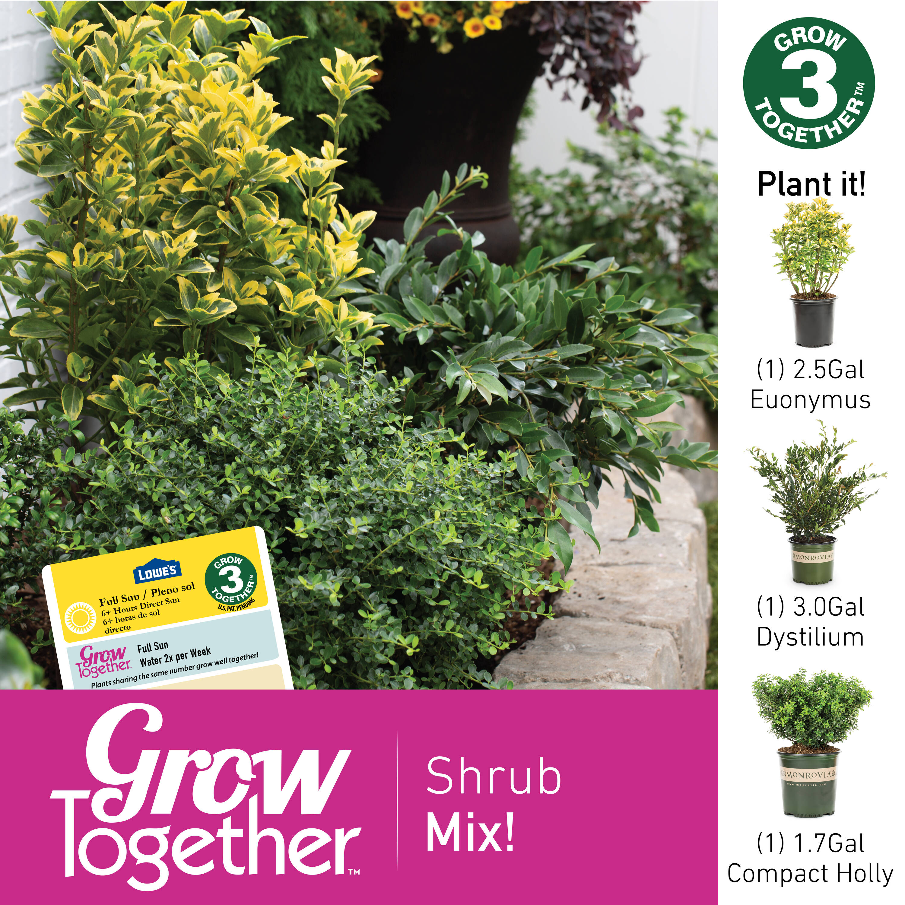 Monrovia NURSERY shrubs - View #3