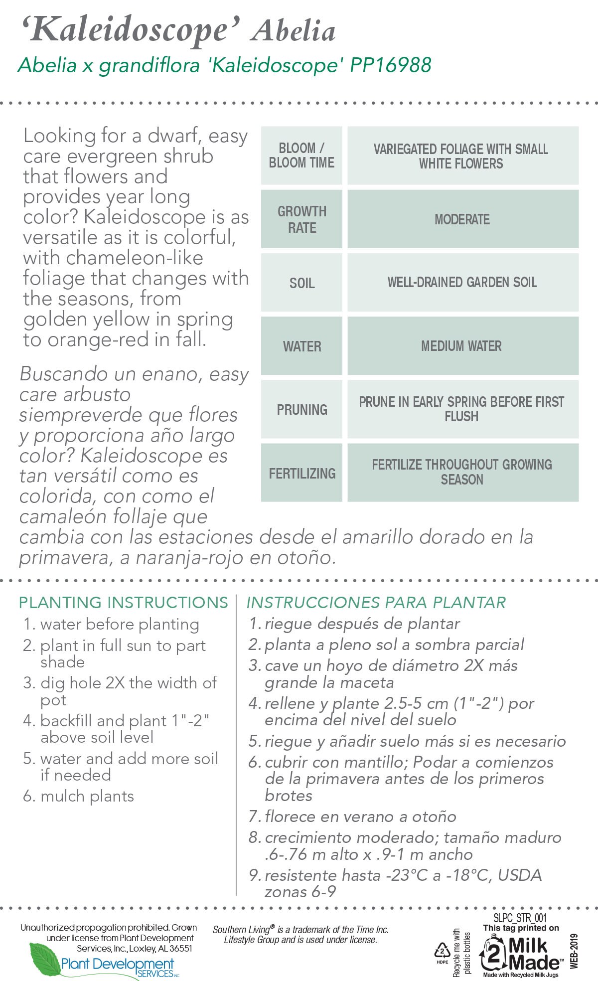 Southern Living 0153Q-1 shrubs - View #8
