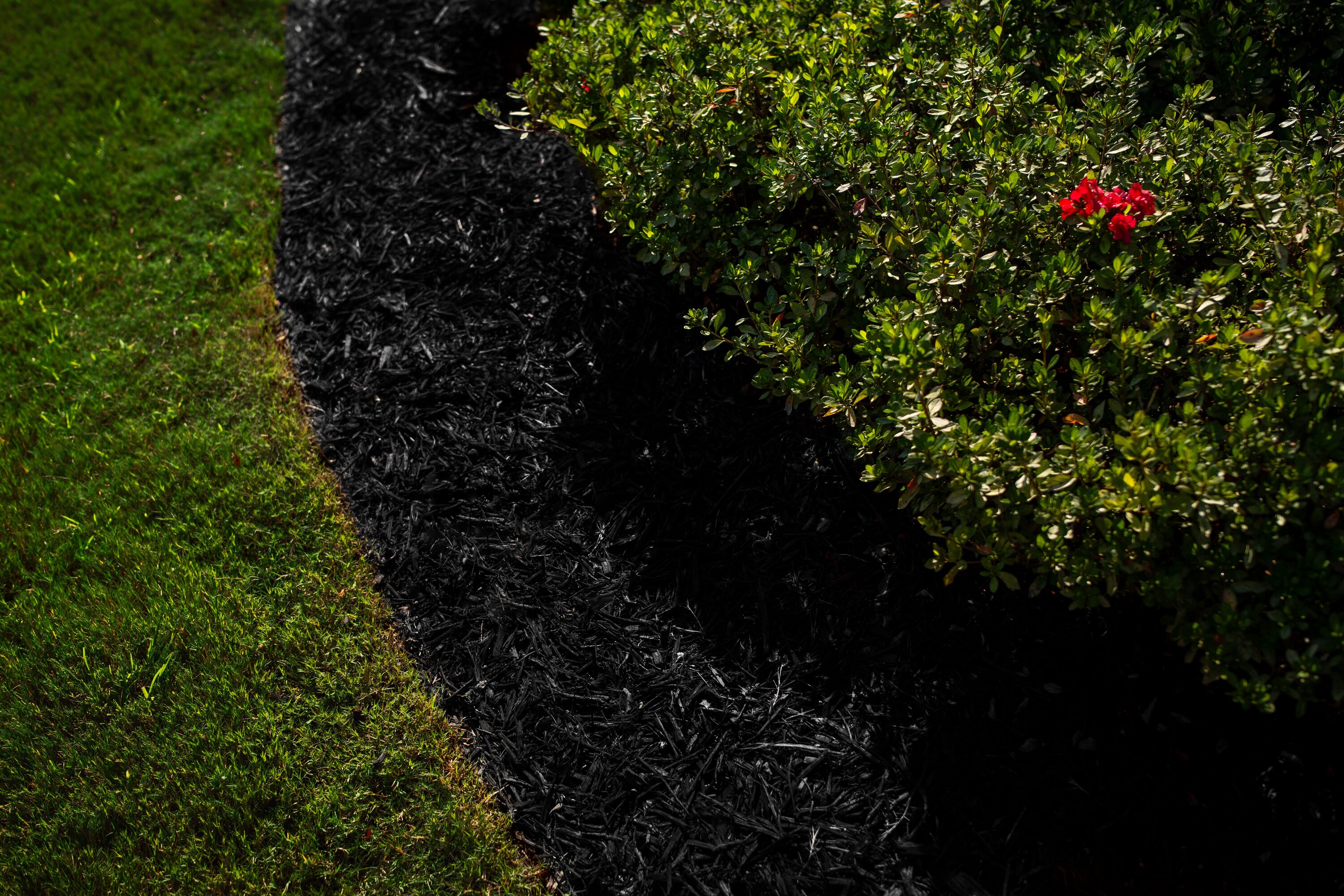 COLORBACK 192264 Mulch-Dyes - View #4