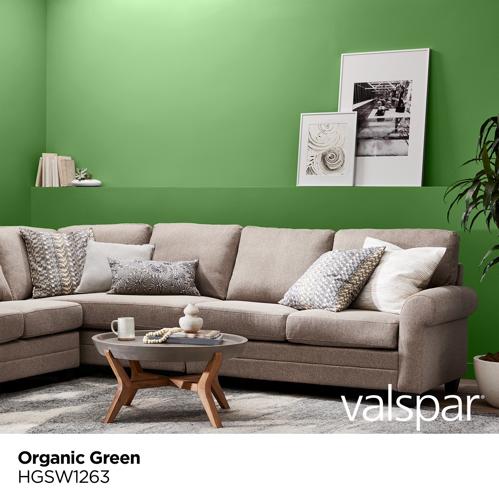 HGTV HOME by Sherwin-Williams Organic Green Hgsw1263 Interior Paint ...