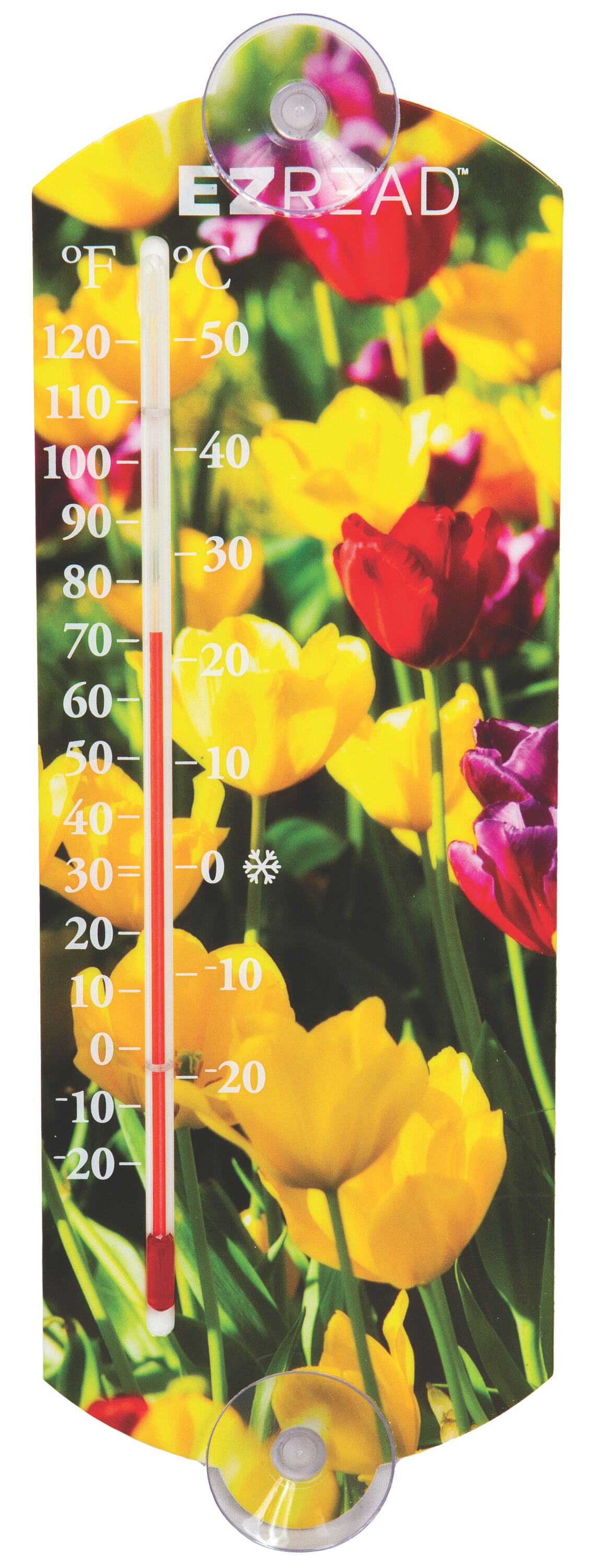 EZRead Analog Indoor or outdoor Multiple colors/finishes Classic Thermometer #840-0049