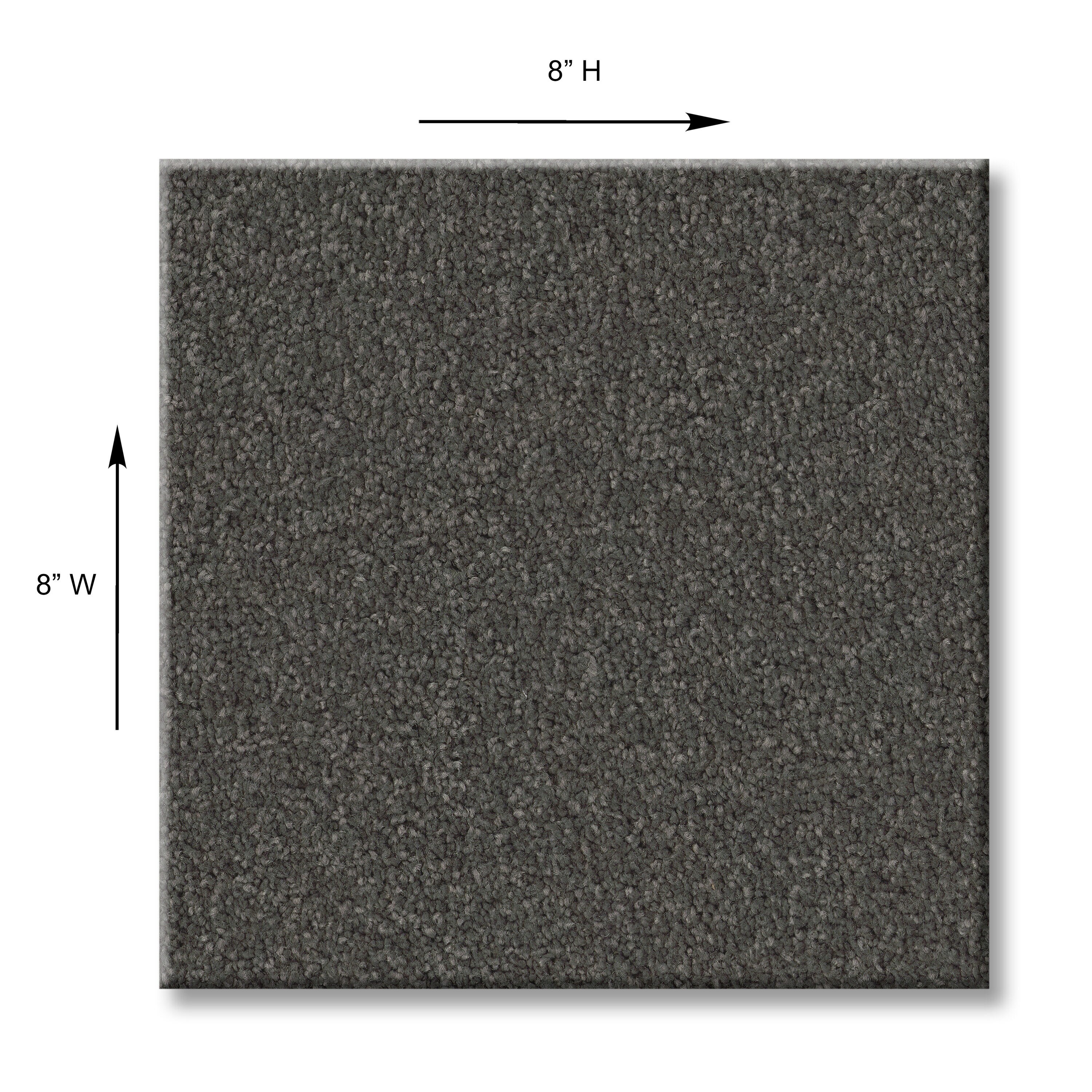 STAINMASTER 7L792-529-SAMP Carpet-Samples - View #5
