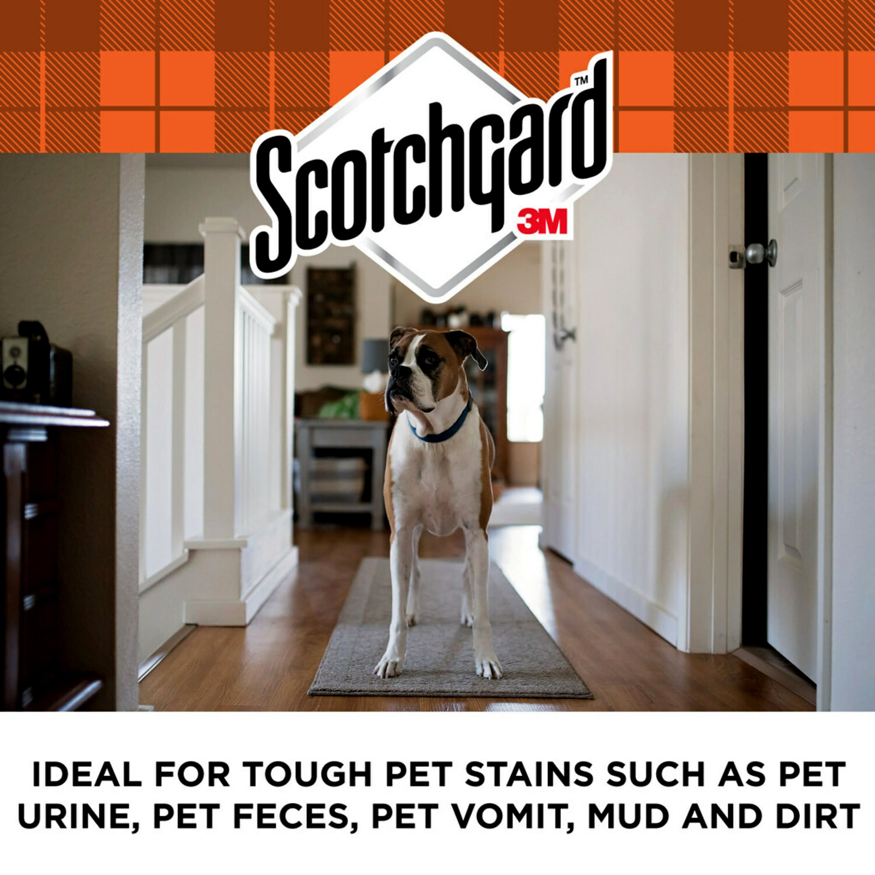 Scotchgard™ Spot Remover and Upholstery Cleaner