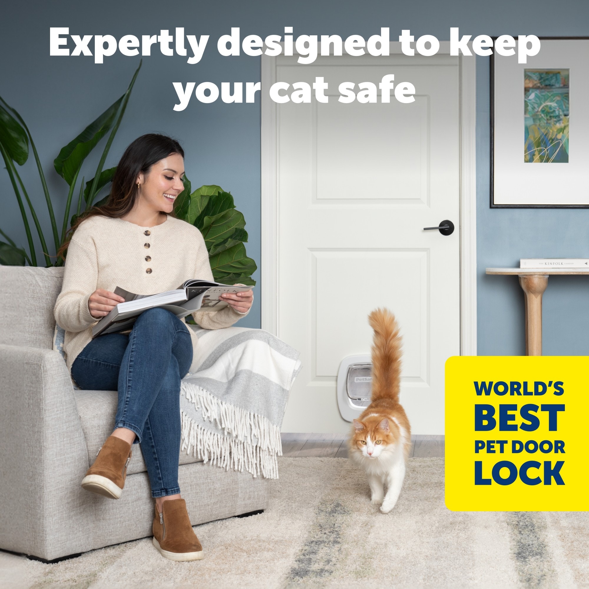 PetSafe PPA00-17878 Pet-Doors - View #2
