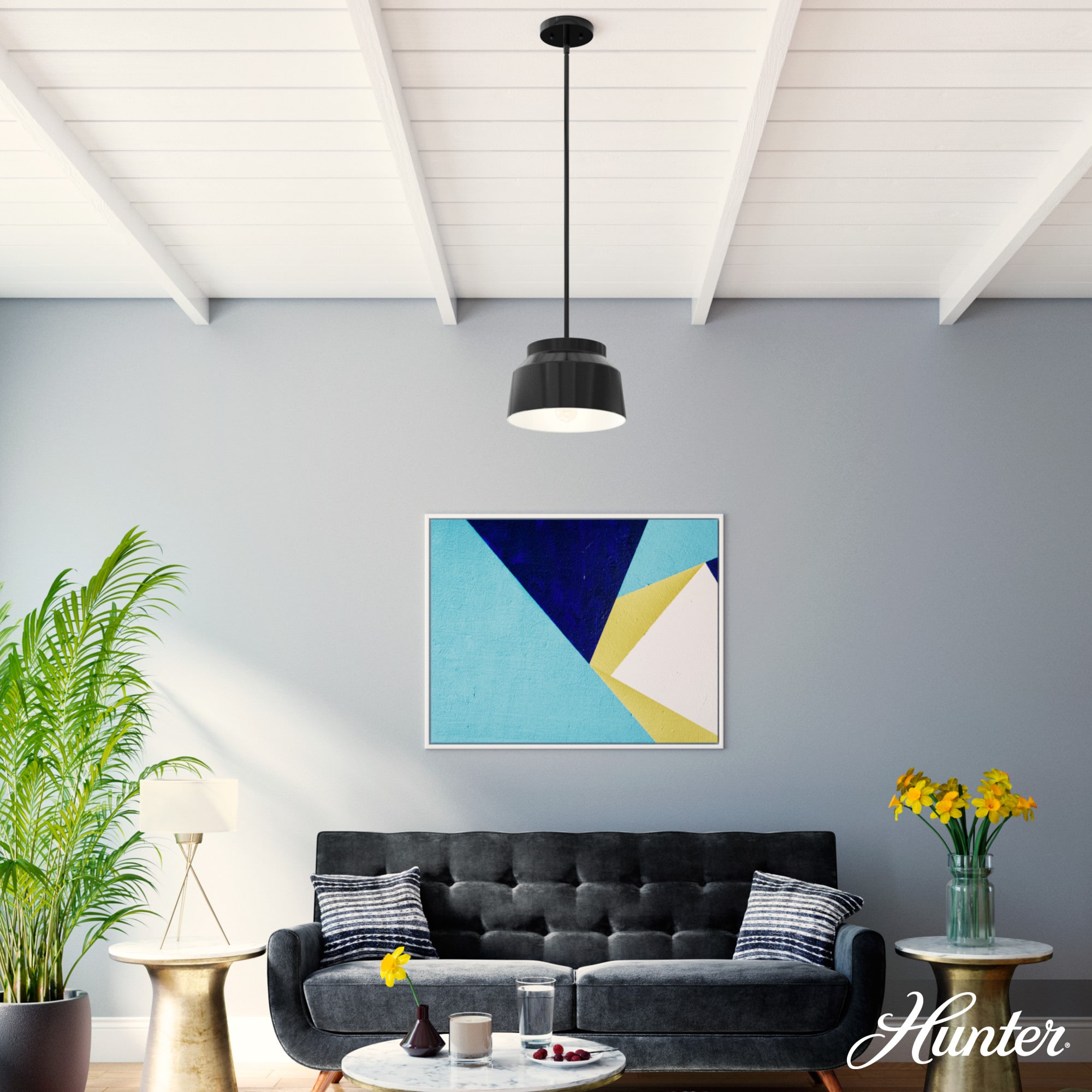 Hunter 19025 Pendant-Lights - View #4