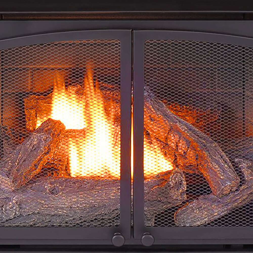 ProCom FBNSD400T-ZC Gas-Fireplace-Fireboxes - View #4